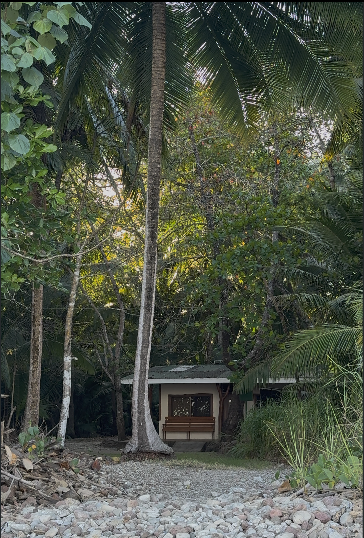 Beachfront secluded cabins at Curu Wildlife Refuge