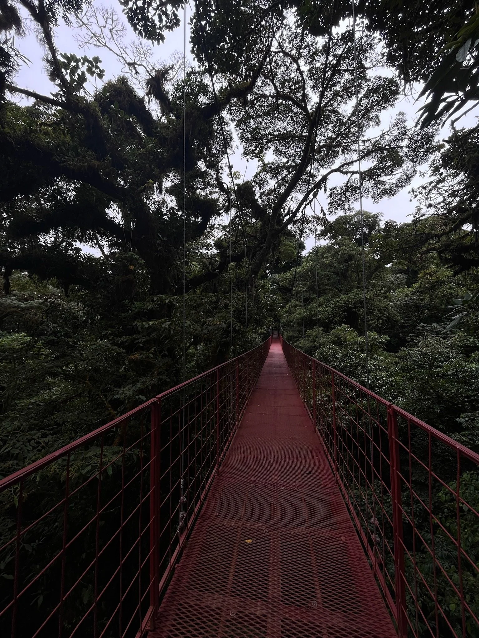 Monteverde Cloud Forest Biological Preserve Hanging Birdge on a dark day.