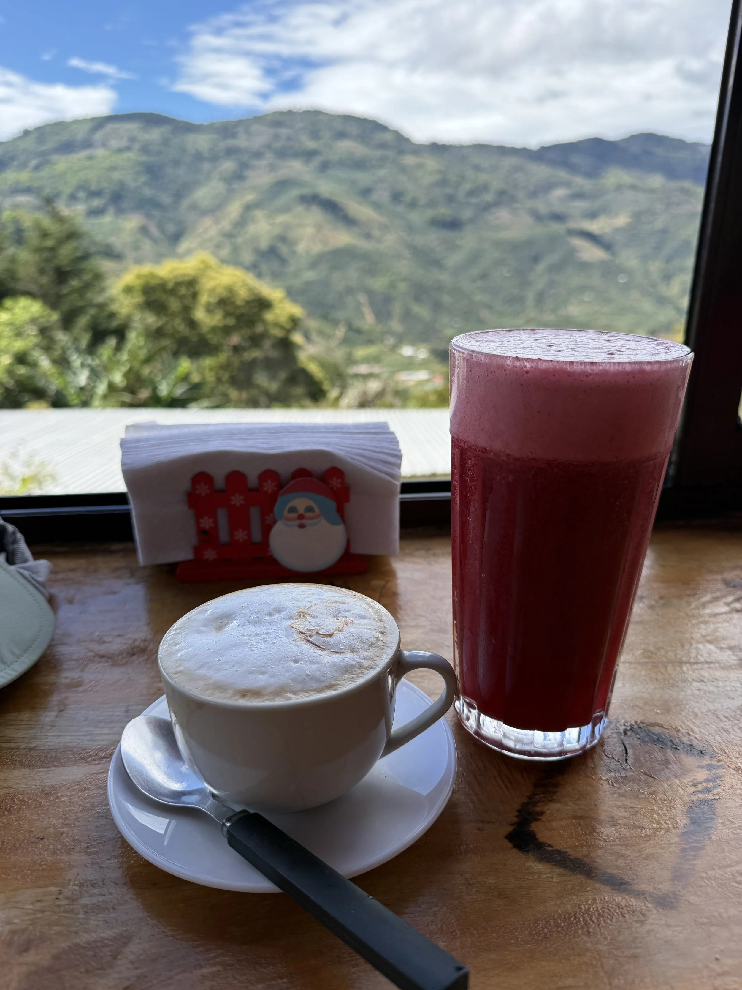 Coffee and blackberry juice, two main attractions of Zona de Los Santos