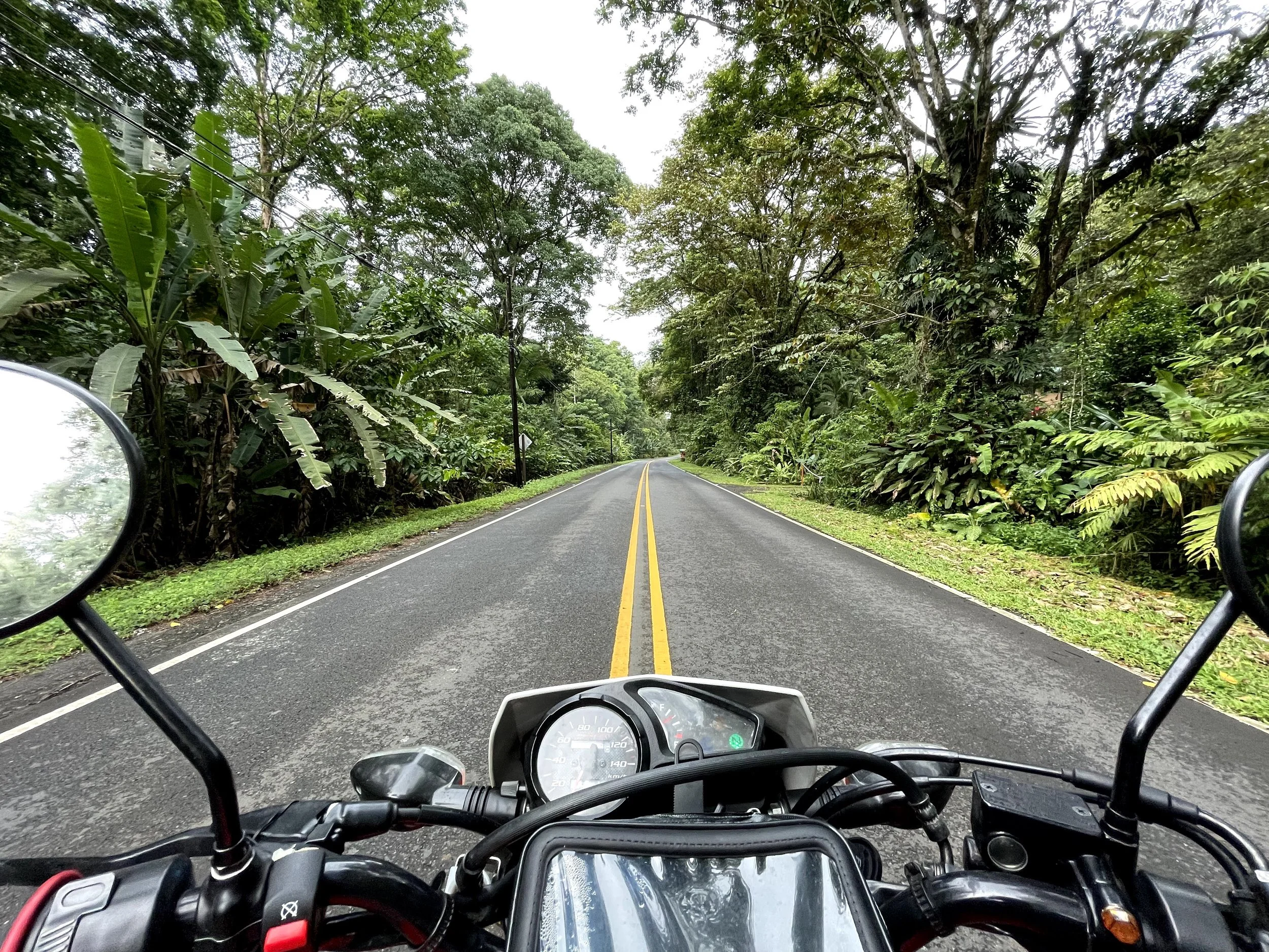 Lush green forest surrounds the road between puerto viejo and manzanillo