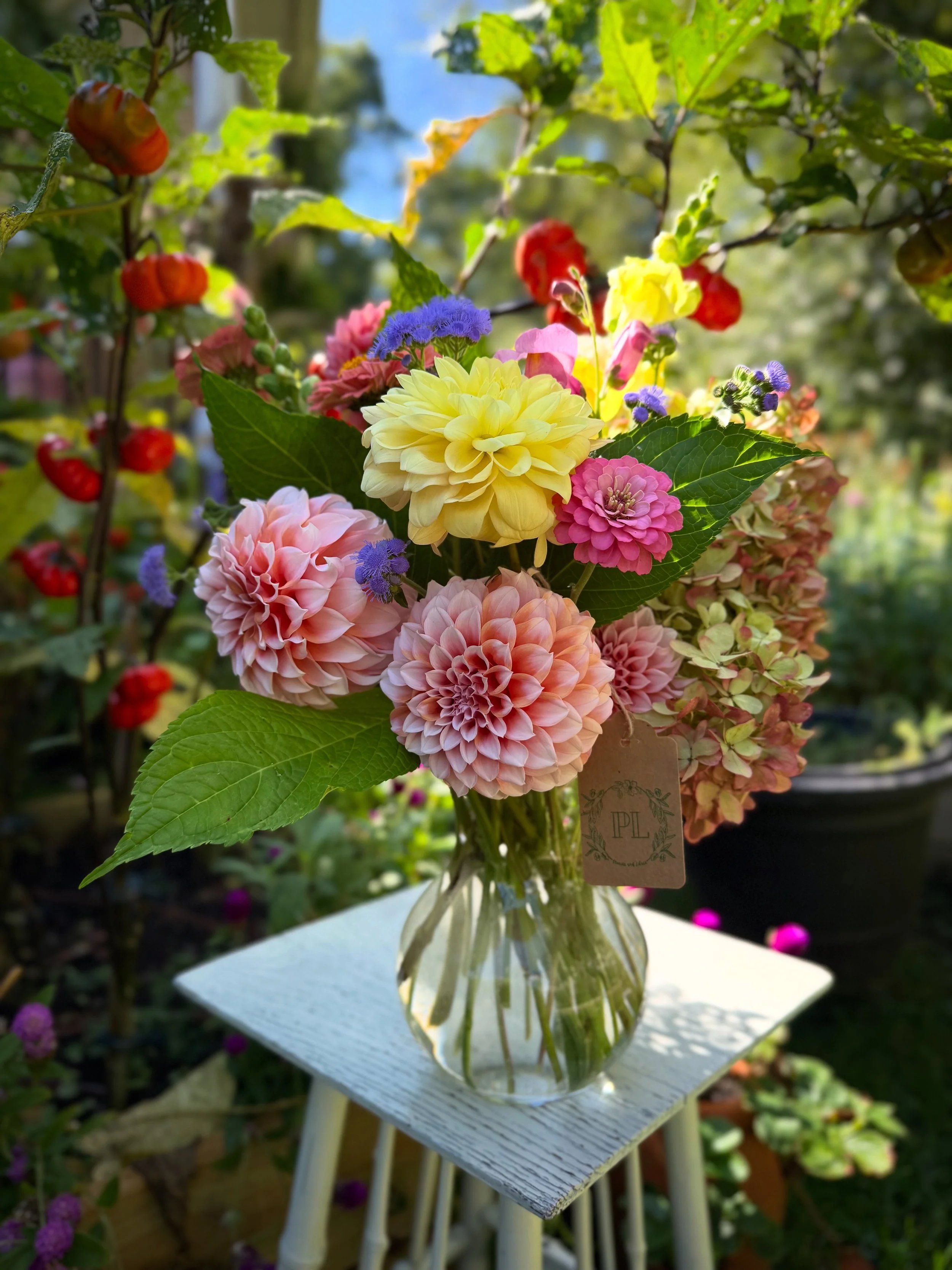F720AA89-ED59-4E4C-B651-2E7365C5C201.jpeg