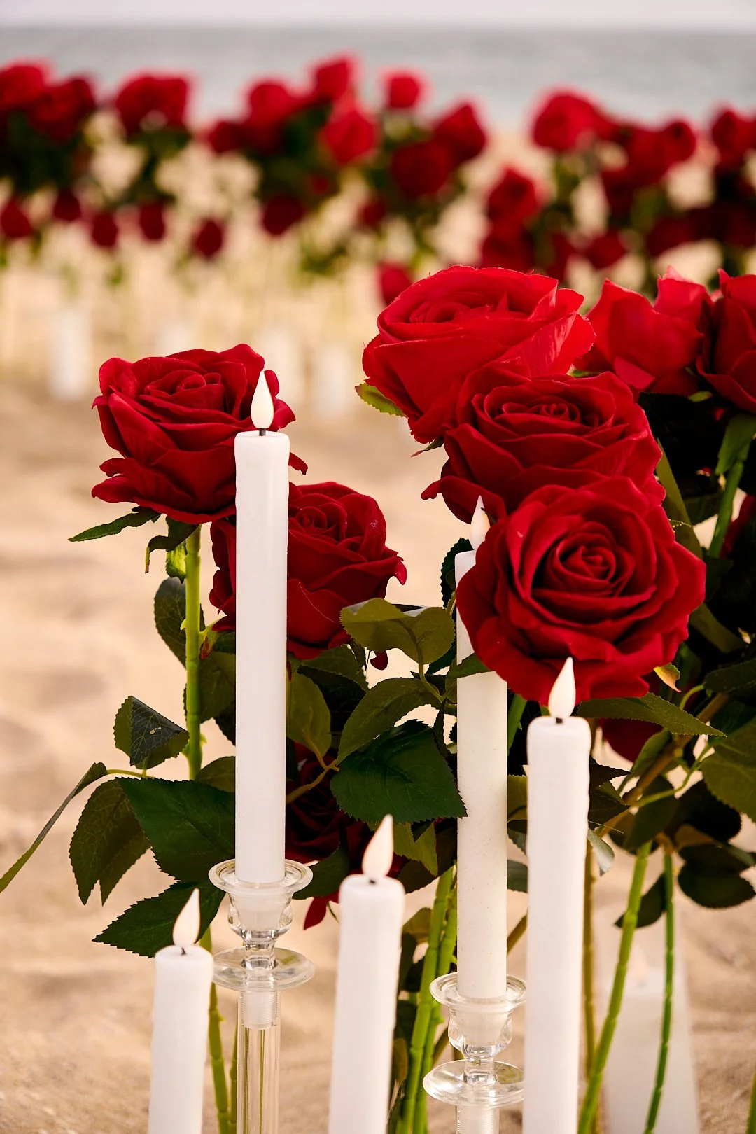 Mireya's Proposal (4) Social.jpg