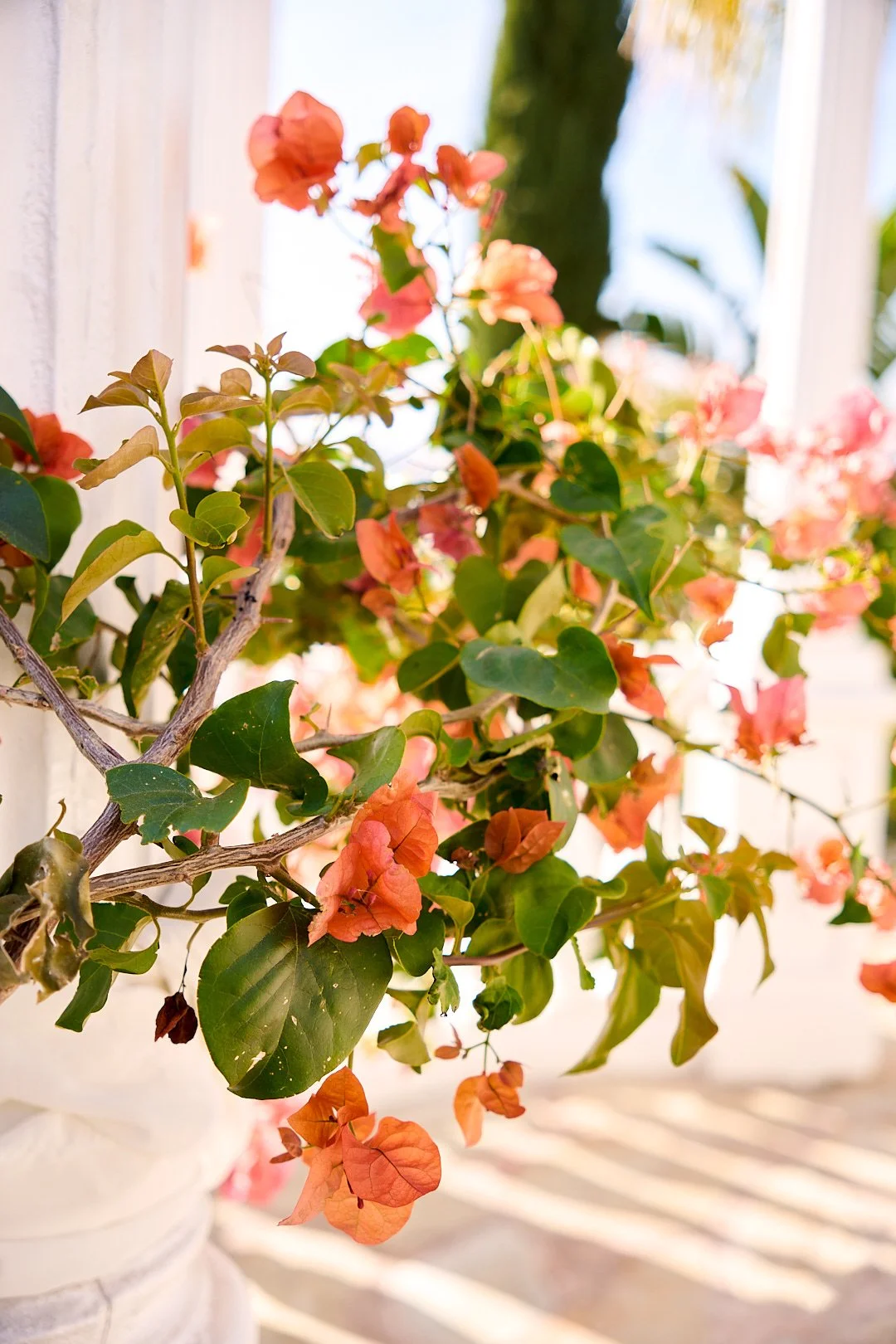 Sarah's Proposal (7) Social.jpg