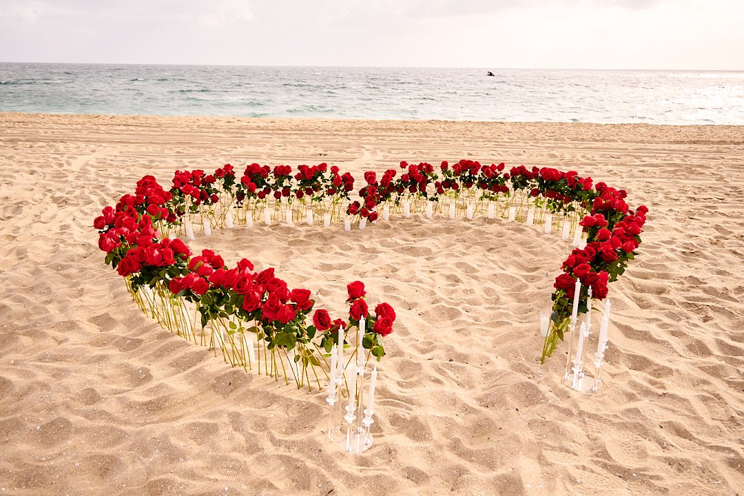 Mireya's Proposal (1) Social.jpg