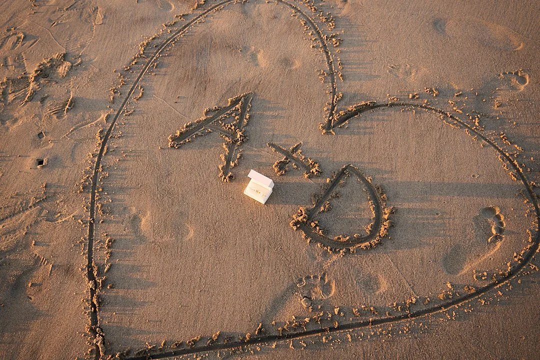 Daisy's Proposal (256) Social.jpg