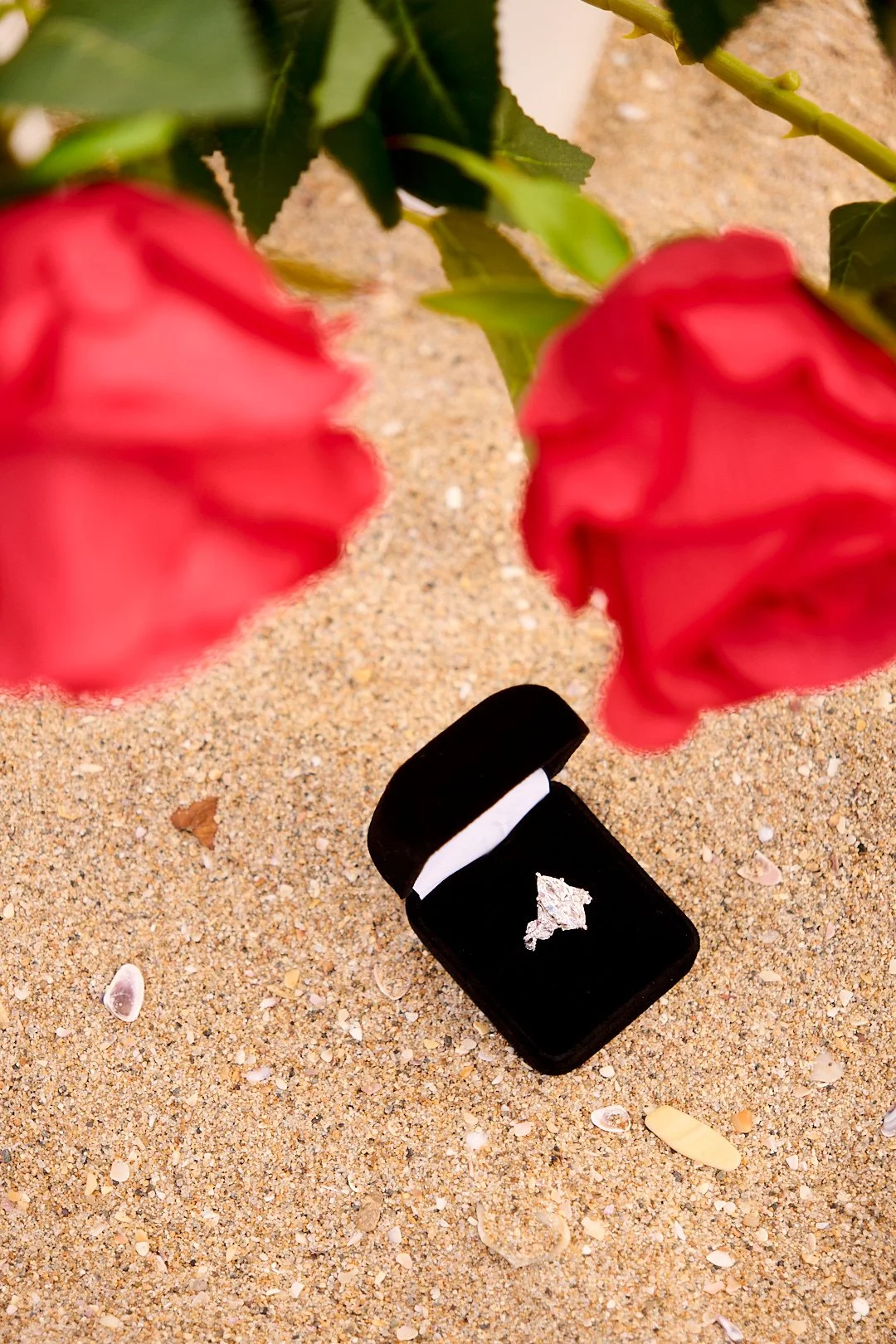 Mireya's Proposal (137) Social.jpg