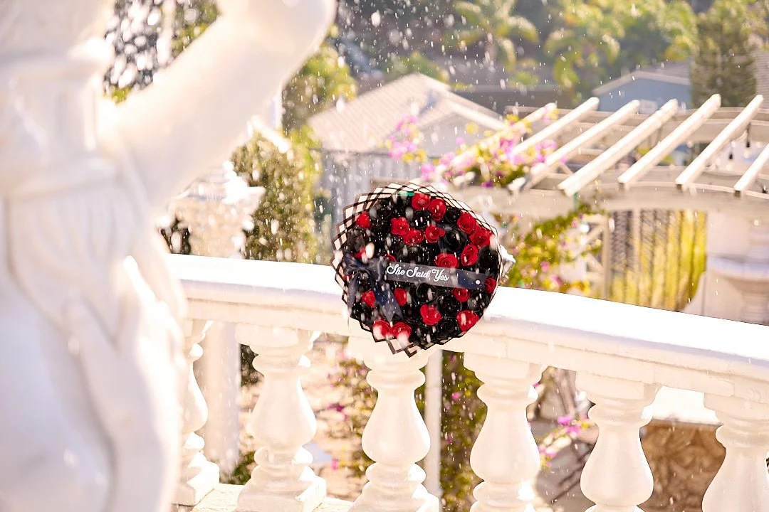 Sarah's Proposal (166) Social.jpg