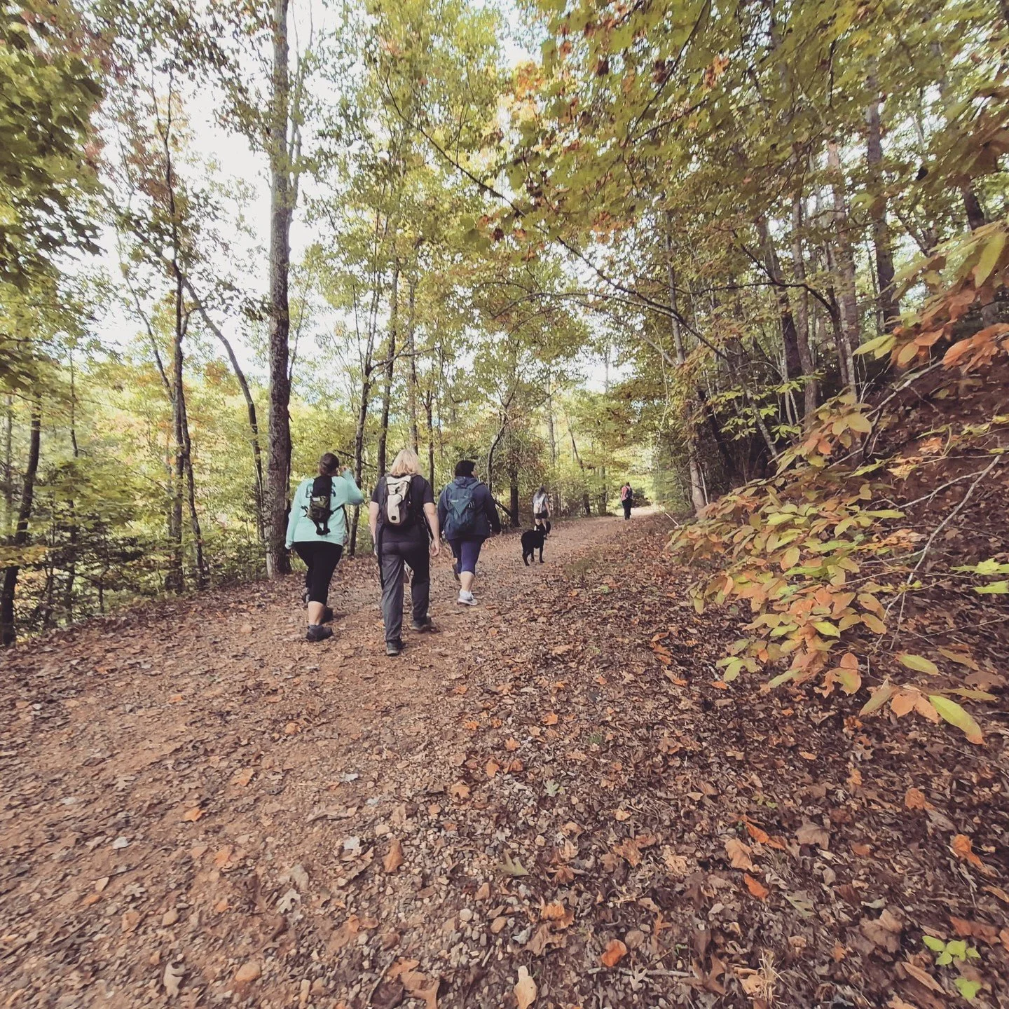 Fall is falling so our Ambassadors are Hiking!
Location: Blue Wall Preserve Twin Pond Hike
Ambassador: Linette