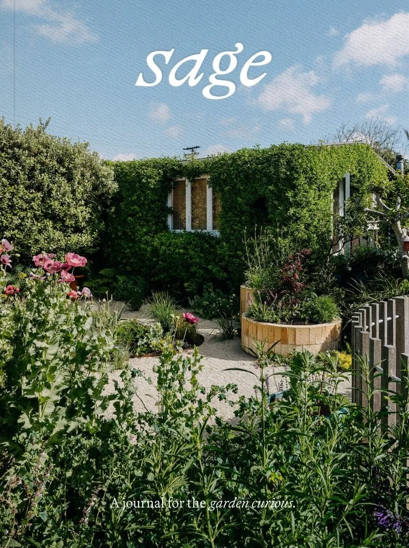 Sage - Vol.2: Our Creative Nature