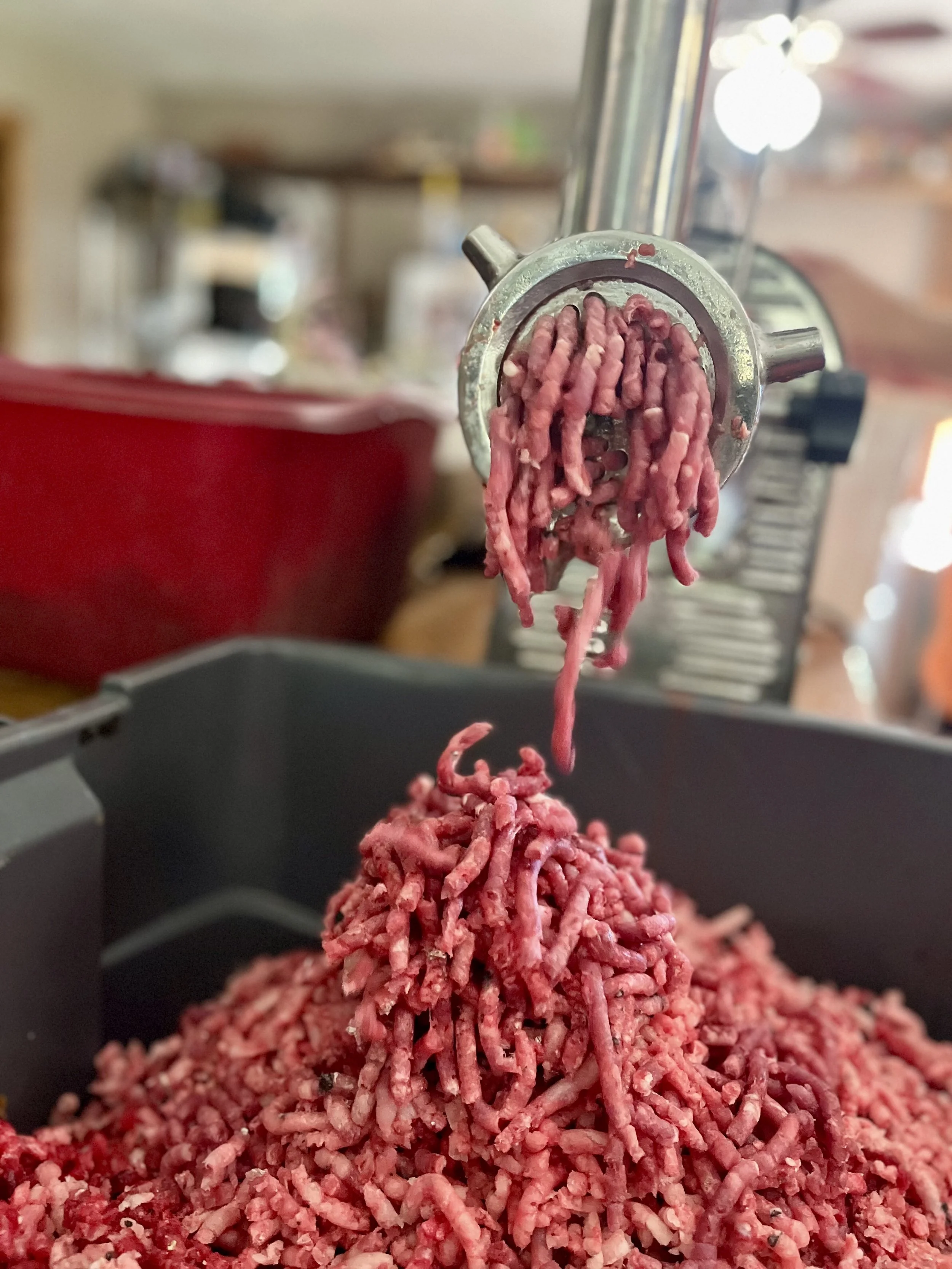 How Raw Feeding Transformed Our Dog — and Sparked H&amp;N Homestead