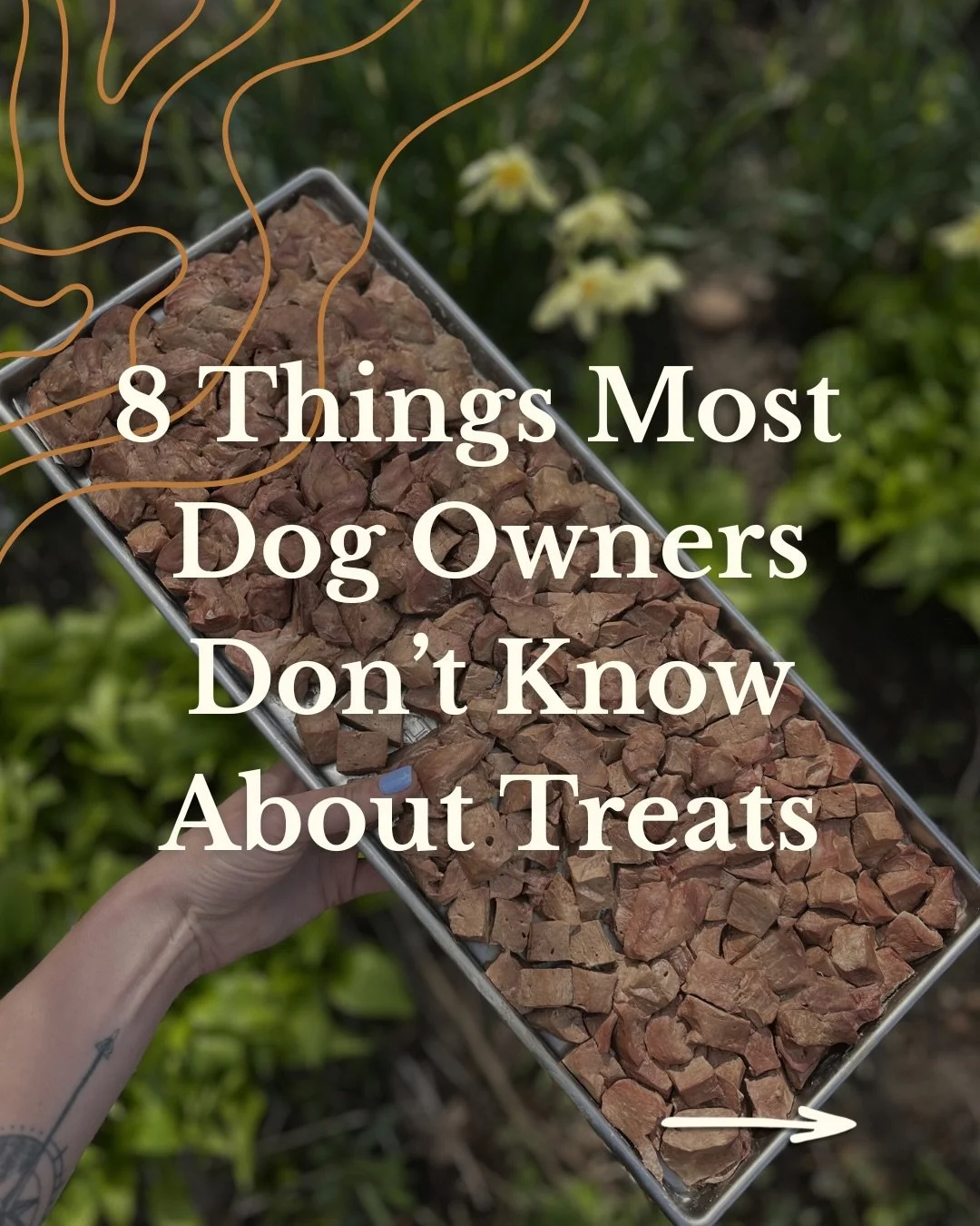 Most dog owners read the ingredient list. 
Very few ask where the ingredient came from.
That question is what H&amp;N Homestead is founded on.

When we started this venture, we wanted treats that were not only single ingredient, but also traceable, r