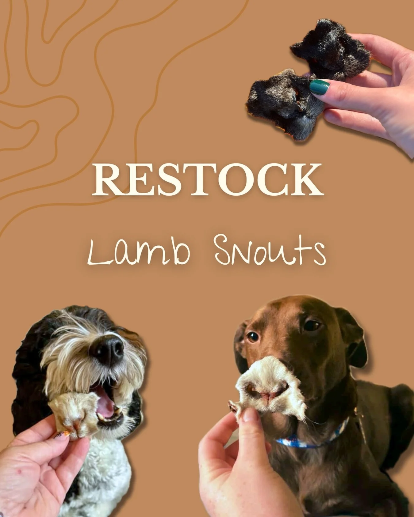 🐑🐽 BACK IN STOCK 

#farmtodog #naturaldogtreats #singleingredienttreats #dogtreats #spoilyourdog