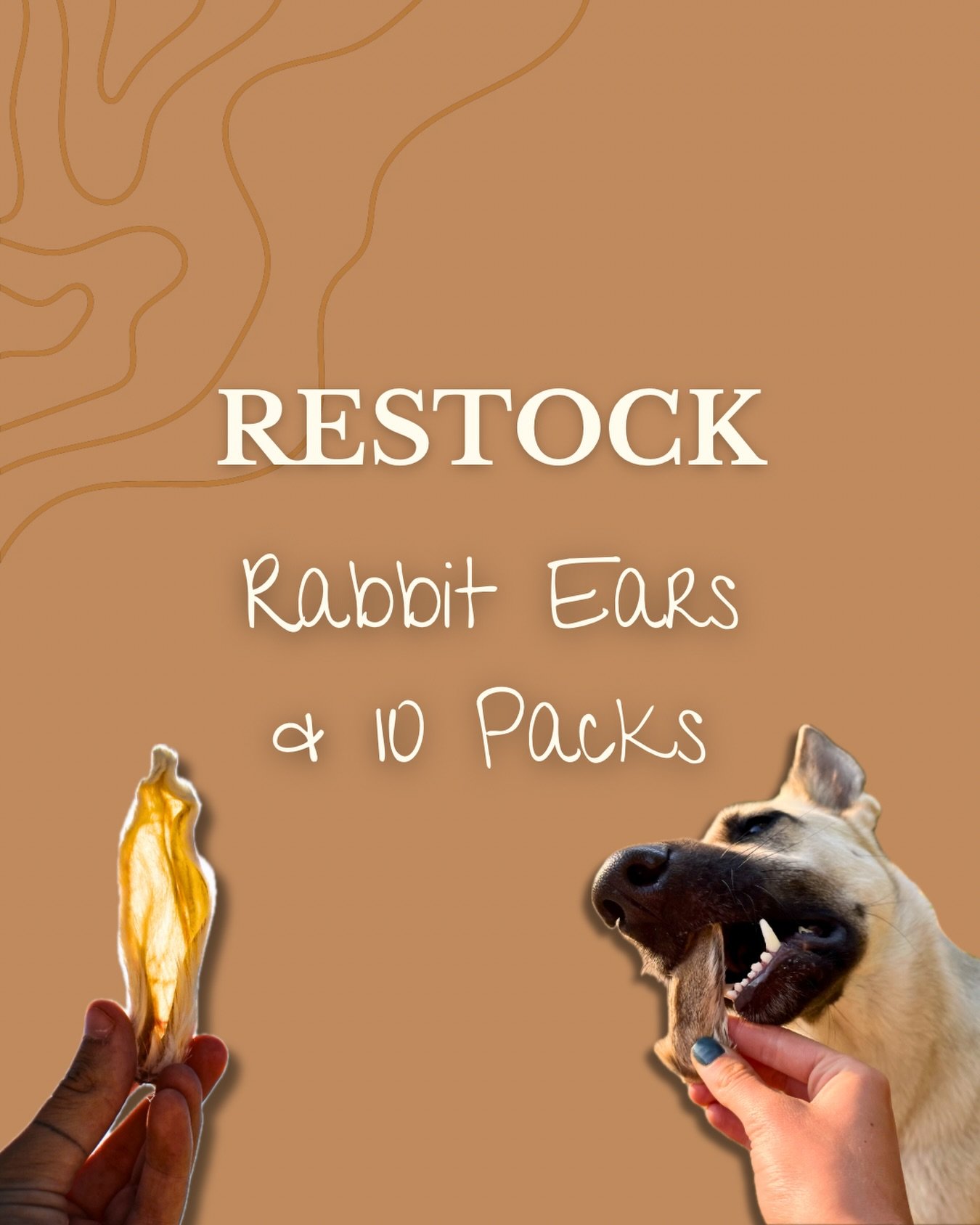 Rabbit Ears are back in stock! 🐰 
And that includes 10 packs! 

#farmtodog #naturaldogtreats #singleingredientdogtreats #shopsmall #dogsofinstagram