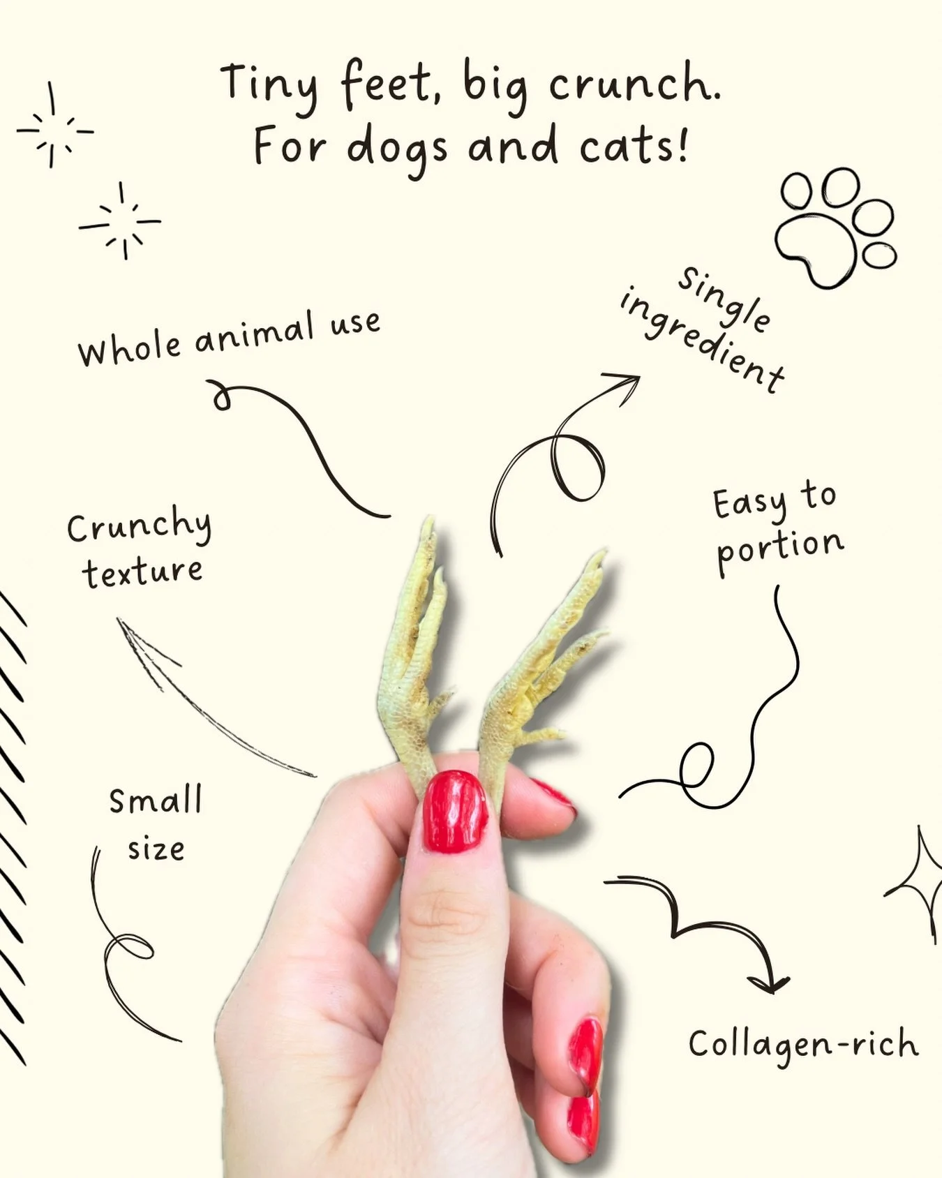 Our freeze dried quail feet are a single ingredient treat with nothing added and plenty of crunch. A fun little snack that makes use of the whole bird, just the way we like it.

And yes, we raise the quail ourselves. 🤎

#quailfeet #dogtreats #singli