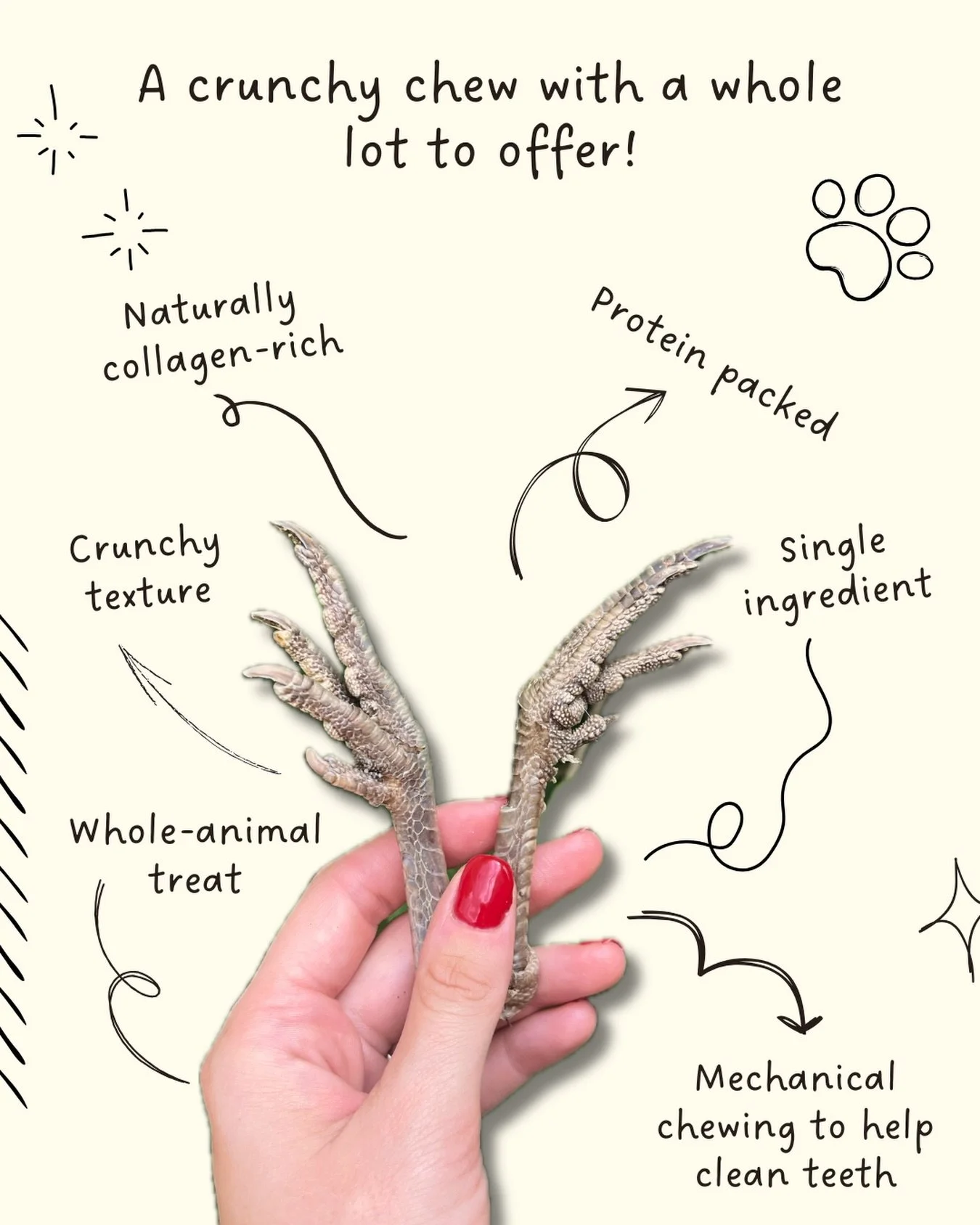 Our freeze dried pheasant feet are crunchy, single ingredient, and sourced from a Wisconsin family farm. No fillers, no extras, just the whole foot, freeze dried and ready to go.

Definitely not your average dog treat. 🤎

#pheasantfeet #dogtreats #s