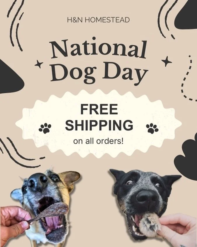 Happy National Dog Day! 🐶🤩

Enjoy free shipping on any order, today only! 
And give your pups some extra lovings from us over here at H&amp;N! 🫶🏼 

#spoilyourdog #nationaldogday #freeshipping #supportsmall #naturaldog