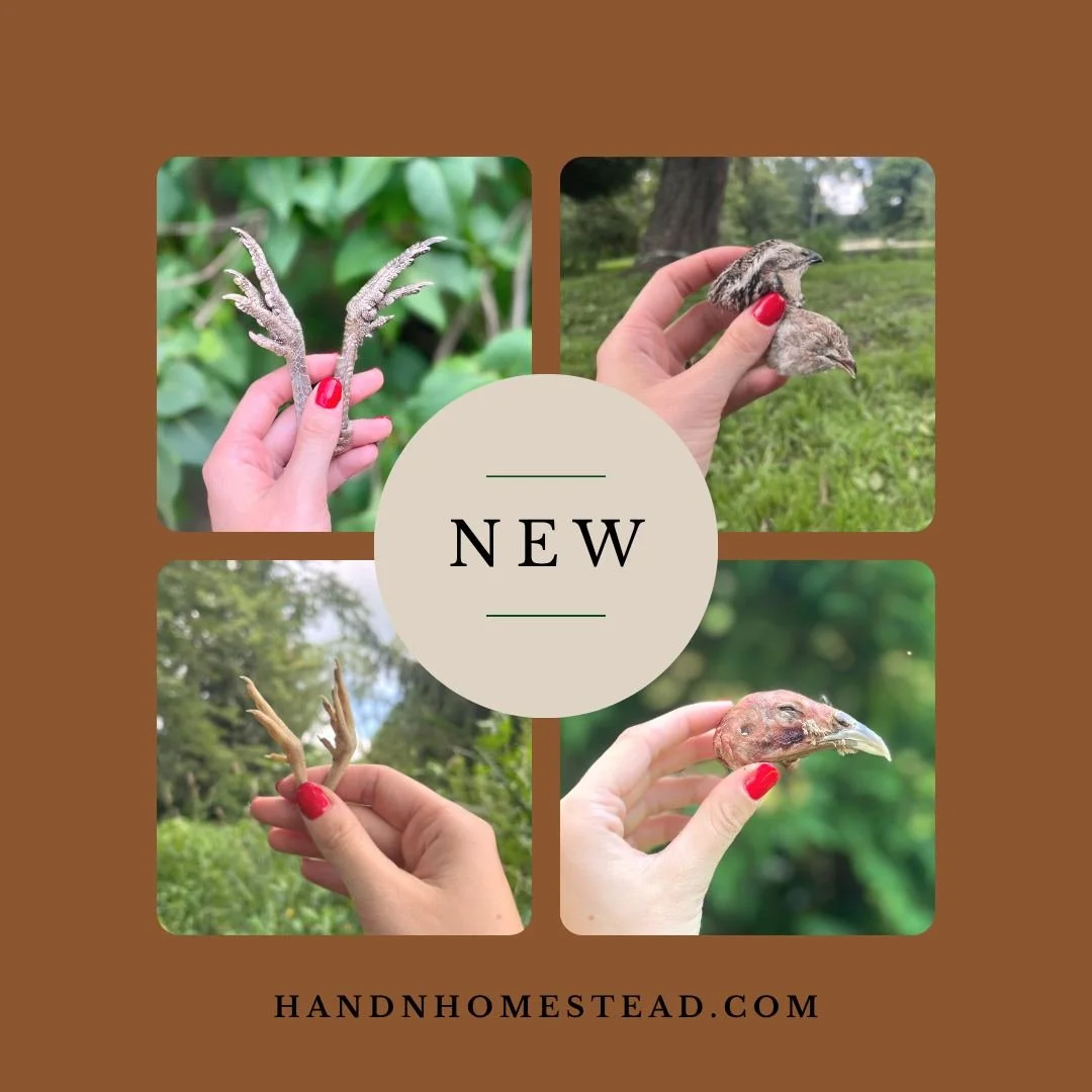 🎉 OUR NEW PRODUCTS ARE OFFICIALLY LIVE! 🎉

The wait is finally over!

We&rsquo;re so excited to officially introduce our newest additions to the H&amp;N Homestead lineup! 

These products have been in the works behind the scenes, and we&rsquo;ve be