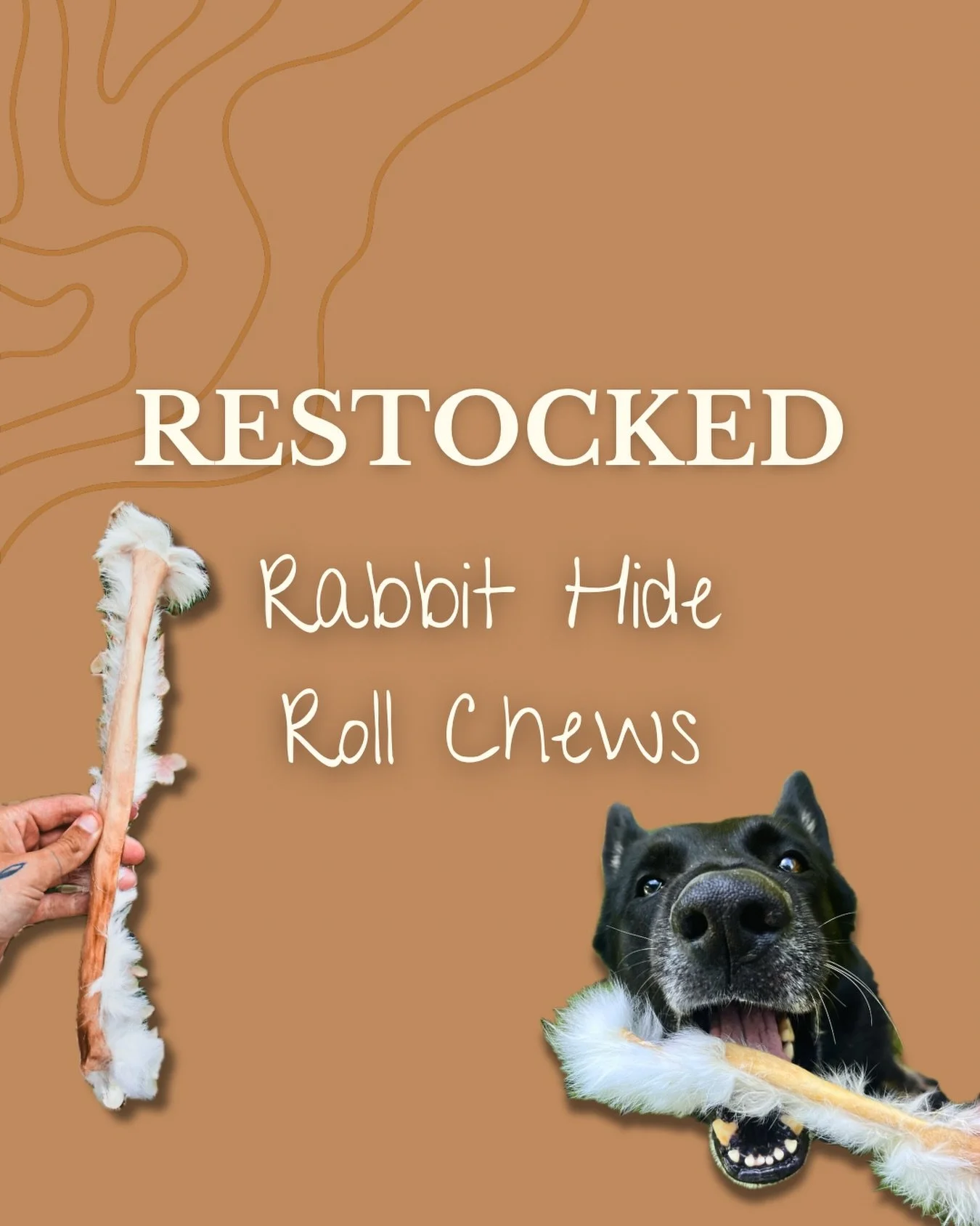 Medium, Large, and Extra Large Rabbit Hide Rolls are RESTOCKED 🥳

These are a favorite in our house! Grab some for you pup! 

#novelprotein #rawdogtreats #singleingredientdogtreats #farmtodog #rawfeddog