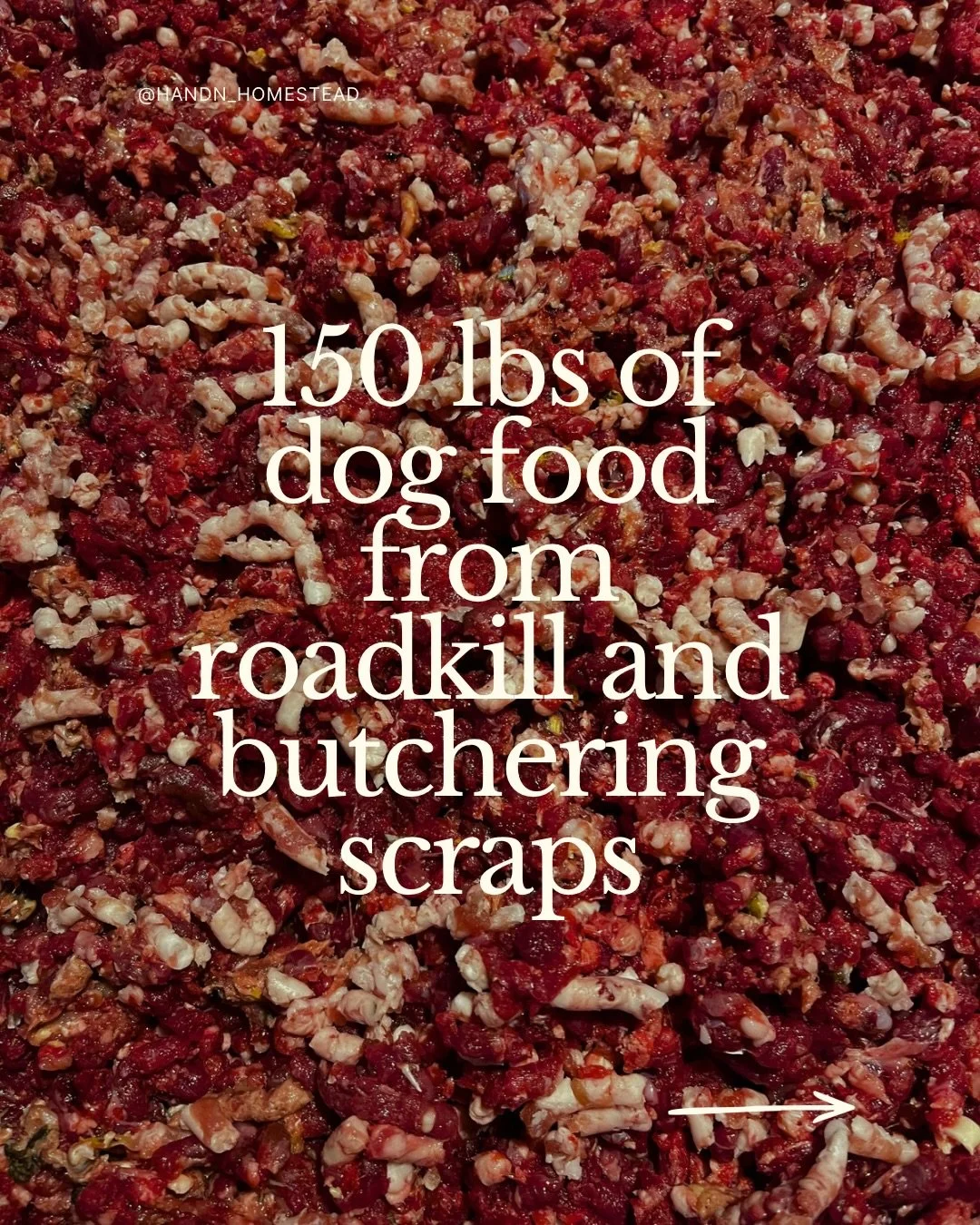 Yesterday was dog food day 🥩 

We&rsquo;ve come a long way since we started feeding raw six years ago. What was once intimidating and overwhelming is now second nature. 

I&rsquo;d never heard of raw feeding before we had a dog in front of us that w