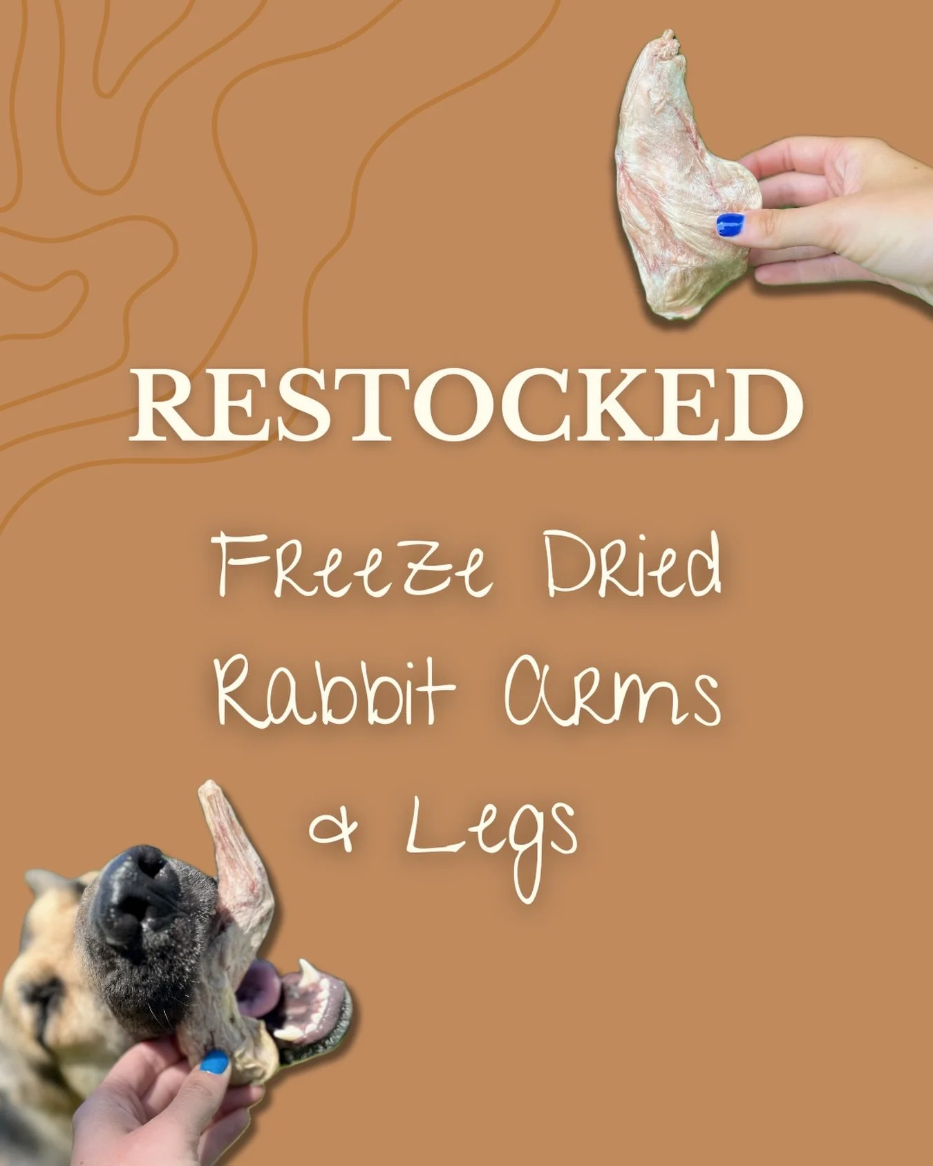 Freeze Dried Rabbit Arms &amp; Legs are back IN STOCK! 

A great raw meaty bone, without all the mess! 

#farmtodog #naturaldogchew #rawmeatybone #rawfeddog