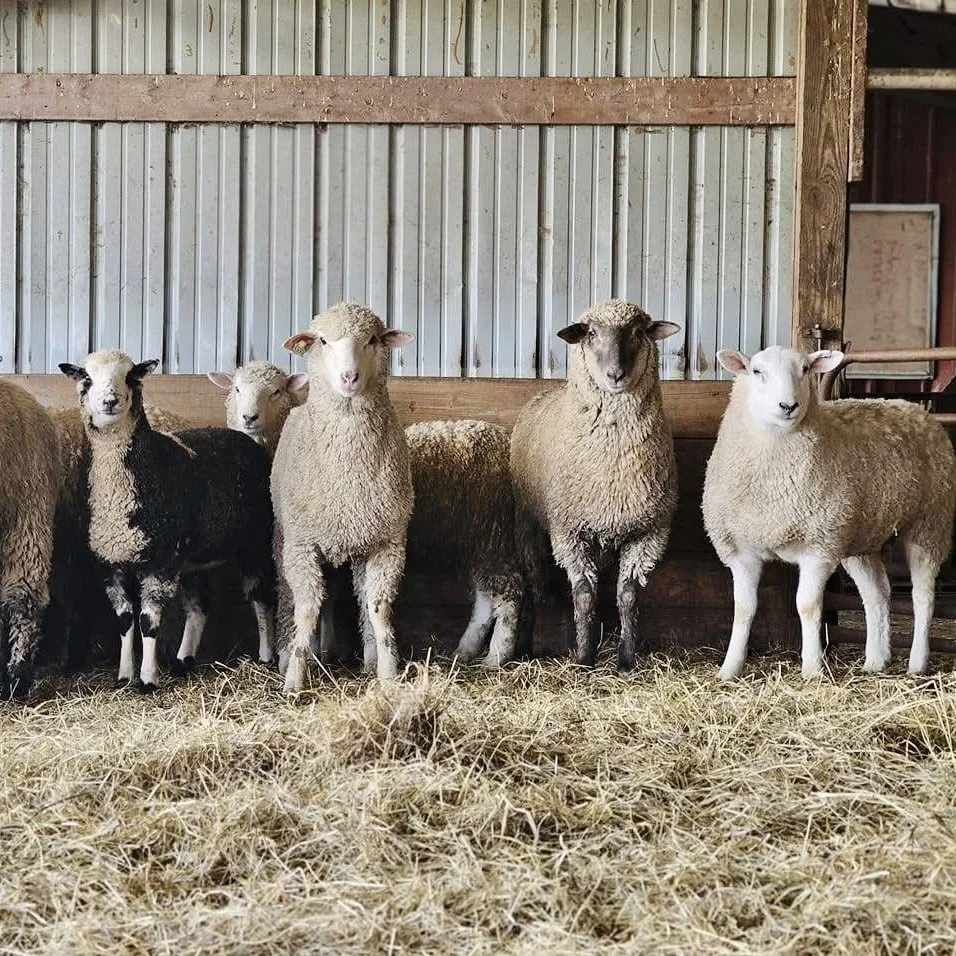 Quality ingredients thoughtfully sourced from trusted farms and suppliers