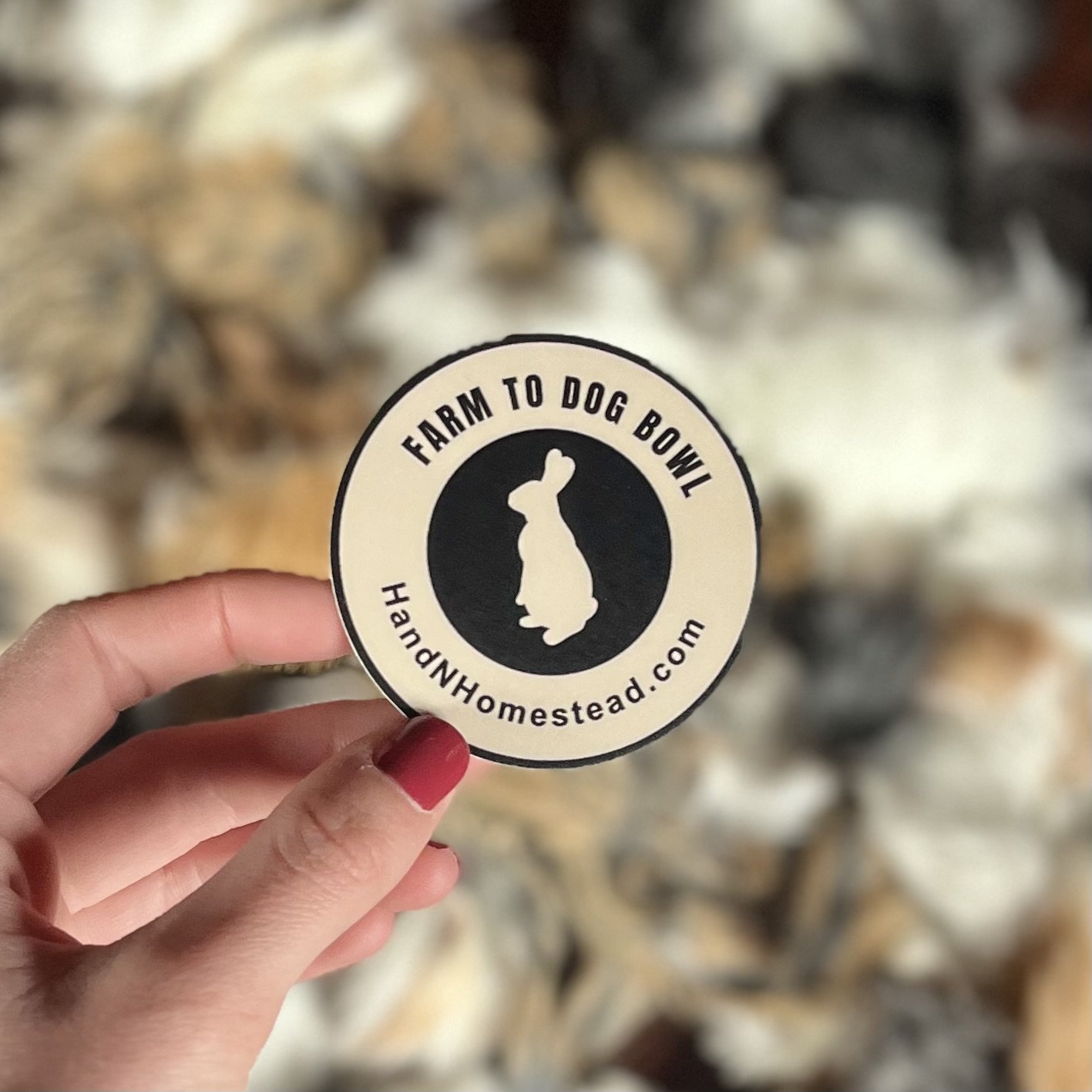 H&N Homestead Sticker