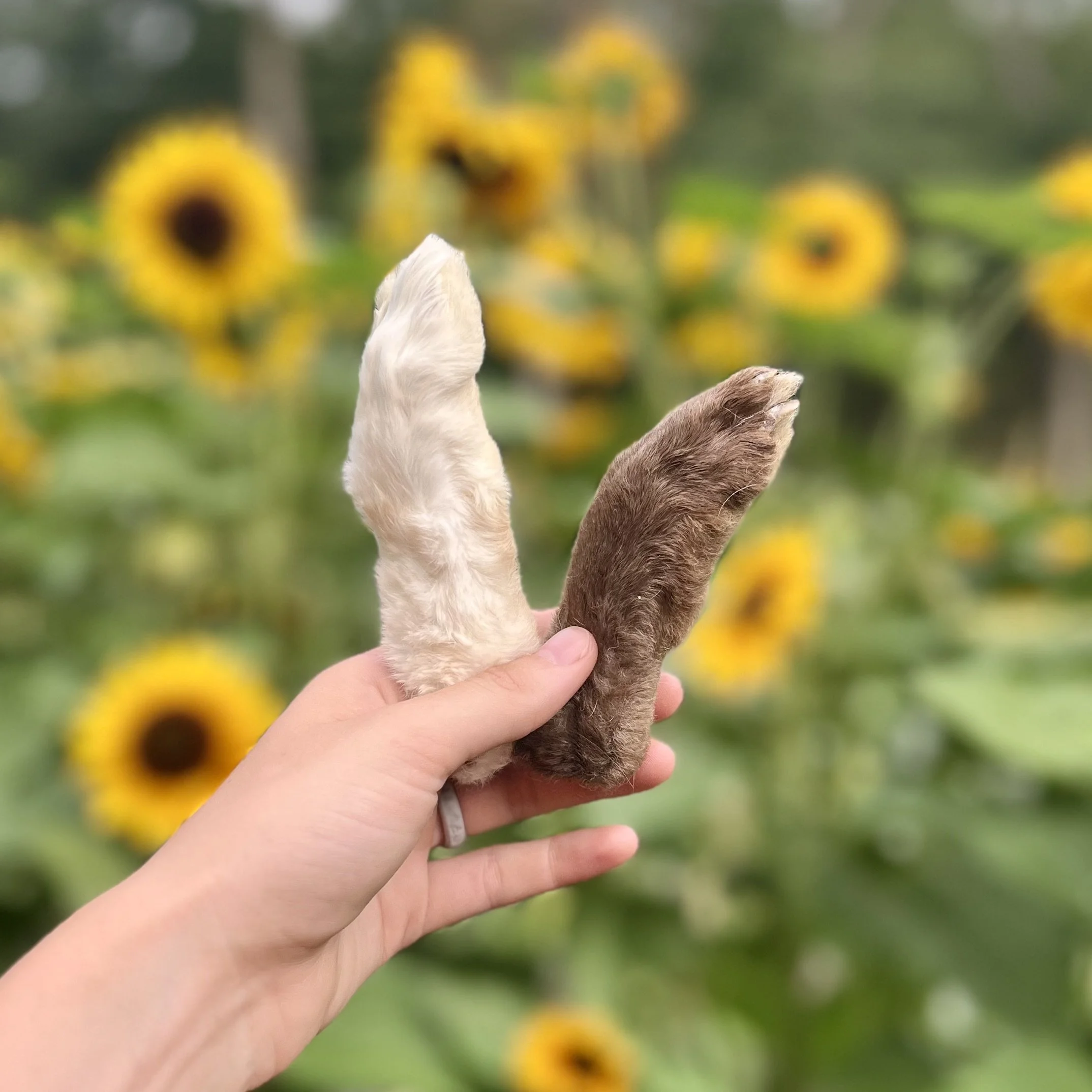 Natural rabbit hide dog chews made from single ingredient rabbit