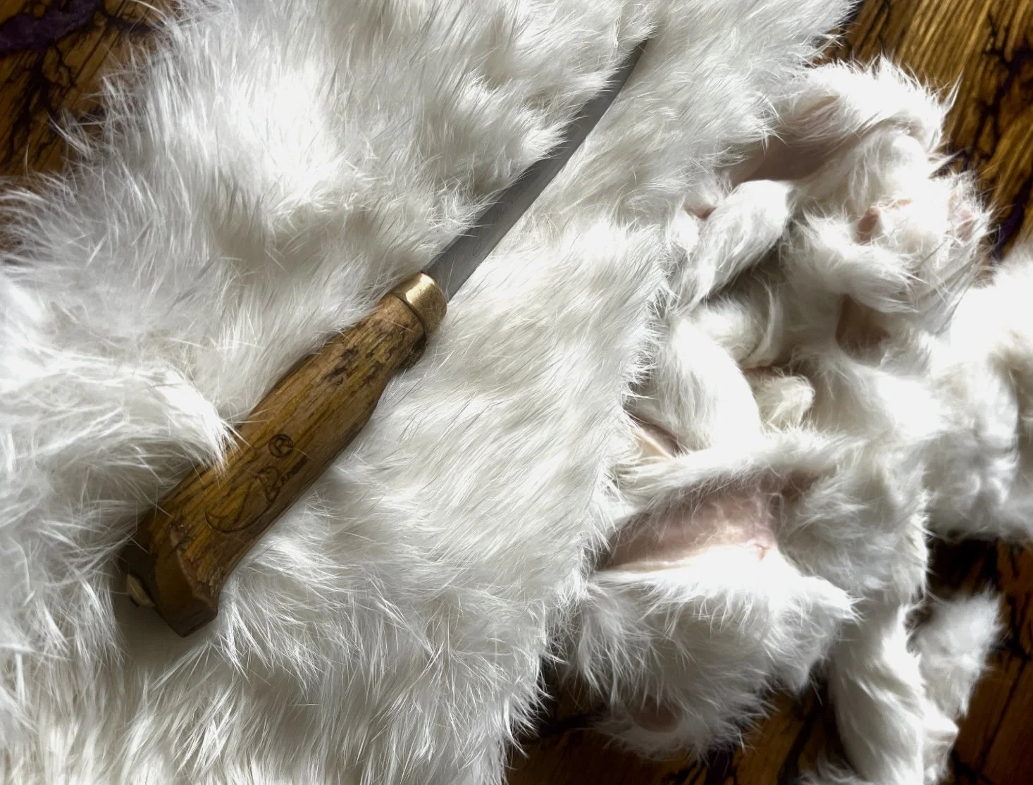 Rabbit hide being prepared by hand at H&N Homestead for natural dog chews