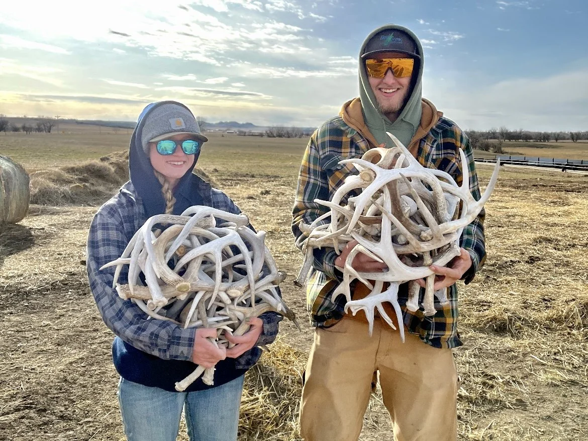H&N Homestead couple holding naturally shed antlers they collected themselves