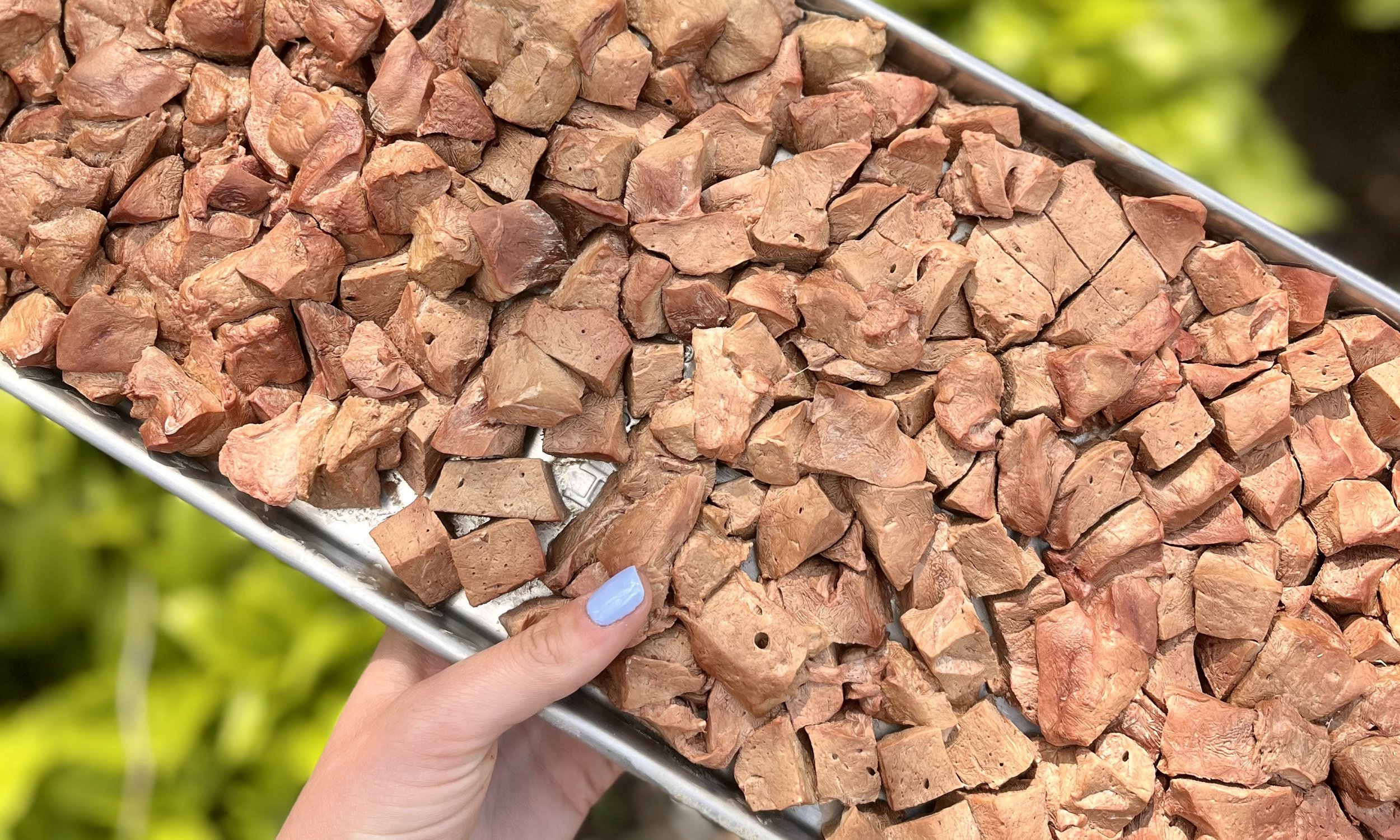 Freeze dried lamb lung dog treats made with a single novel protein ingredient.