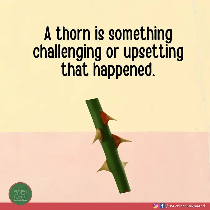 Image of a thorn that represents a challenge or something upsetting that happened today.