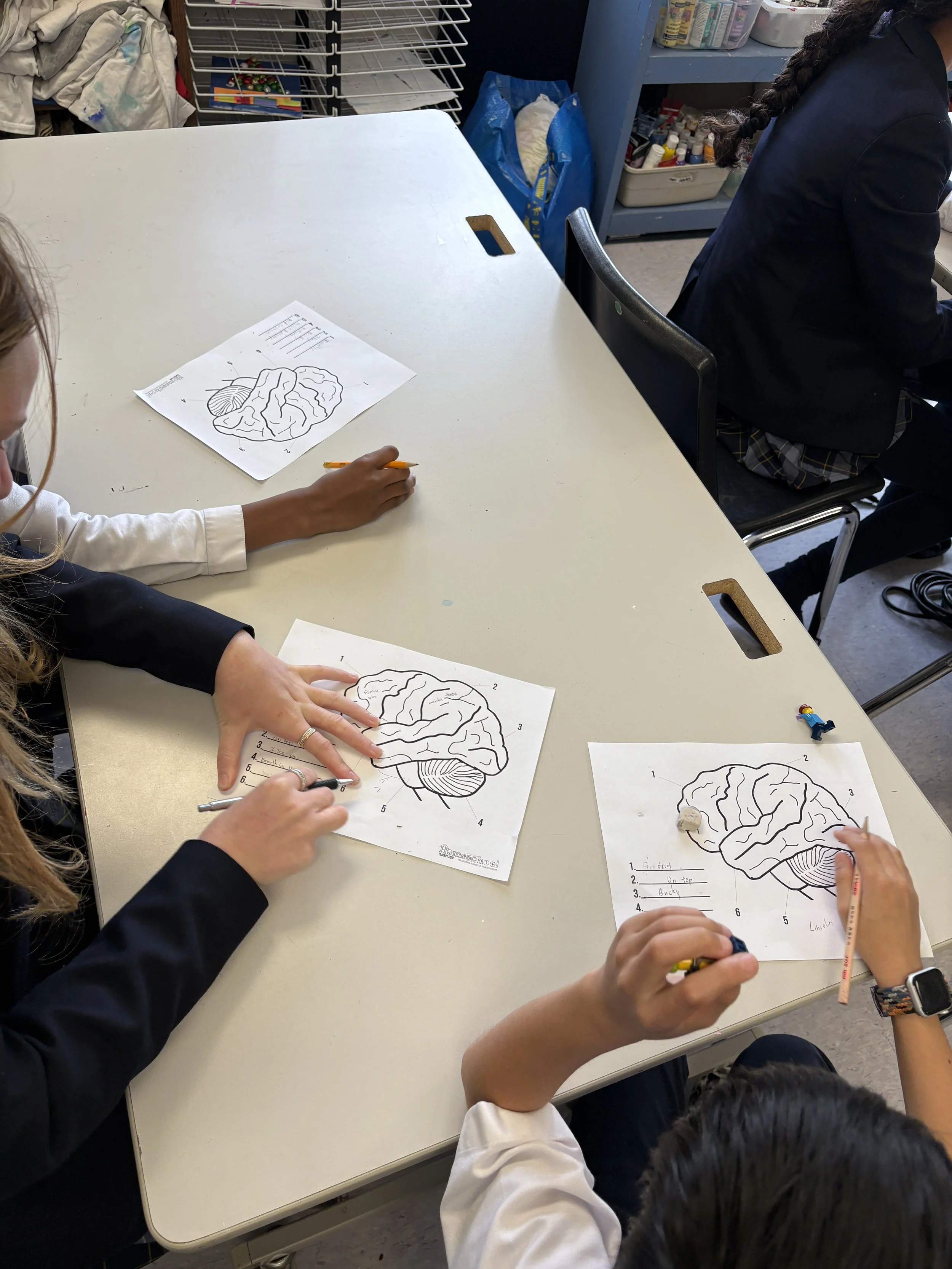 Making a Difference at Local Schools Through Brain Education