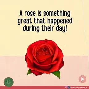 Image of a rose that represents something that was great during your day.