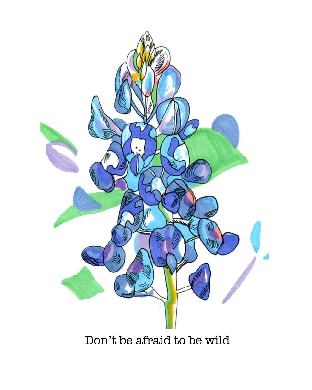 bluebonnet.jpg