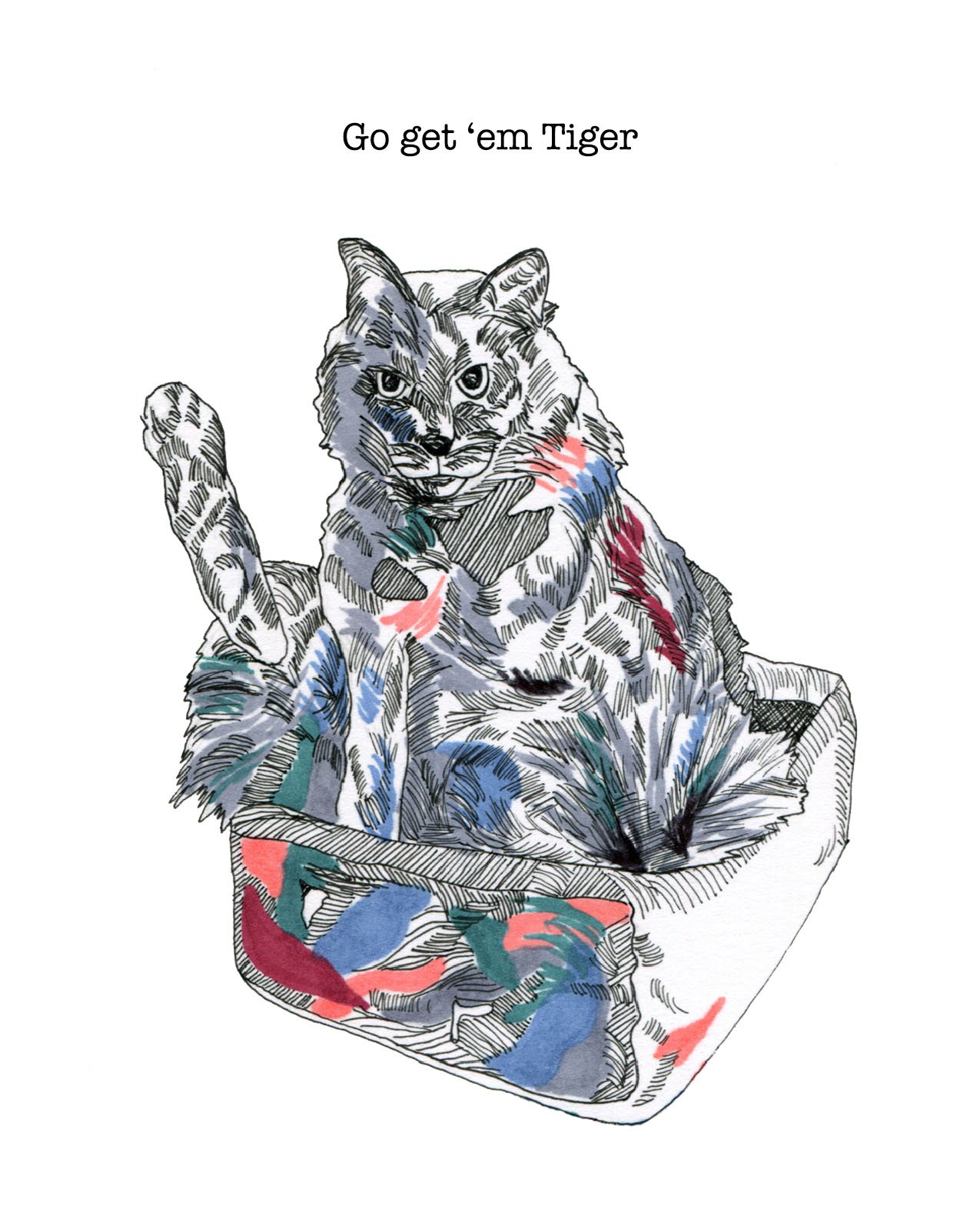 cat go get em copy.jpg
