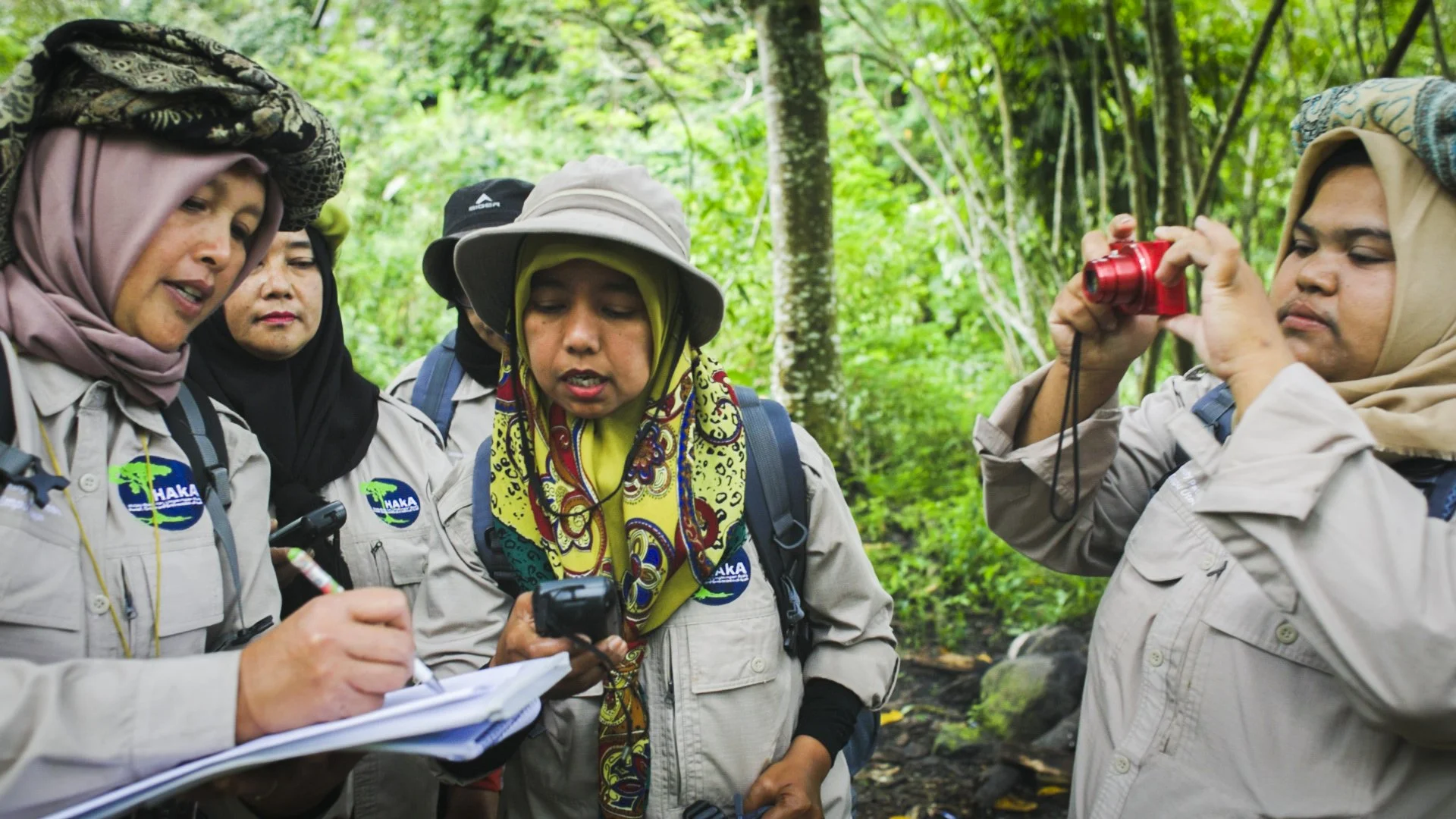 forest defenders 5.JPG