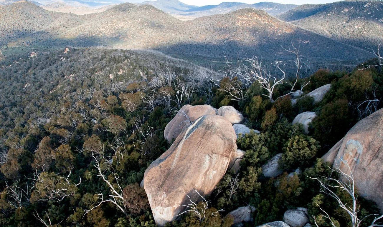 Aerial view of a mountainous landscape with large boulders, dense trees, and rolling hills in the background.