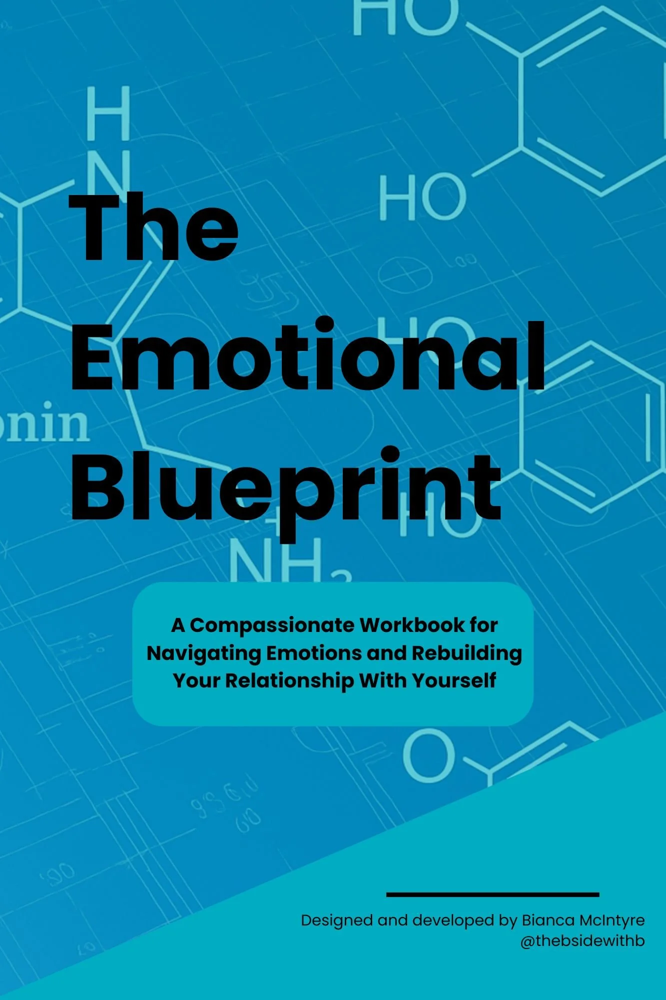 The Emotional Blueprint.jpg