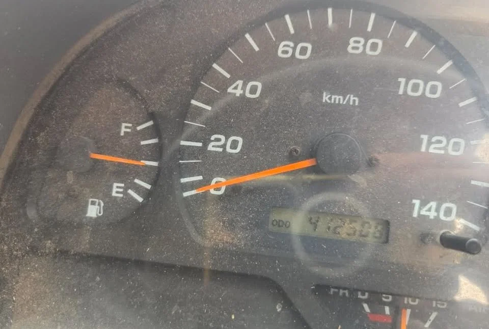 787905615_28349401714691072_534097443532573807_n.jpg
