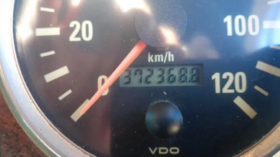 672804417_824828443431681_2542431158975435334_n.jpg