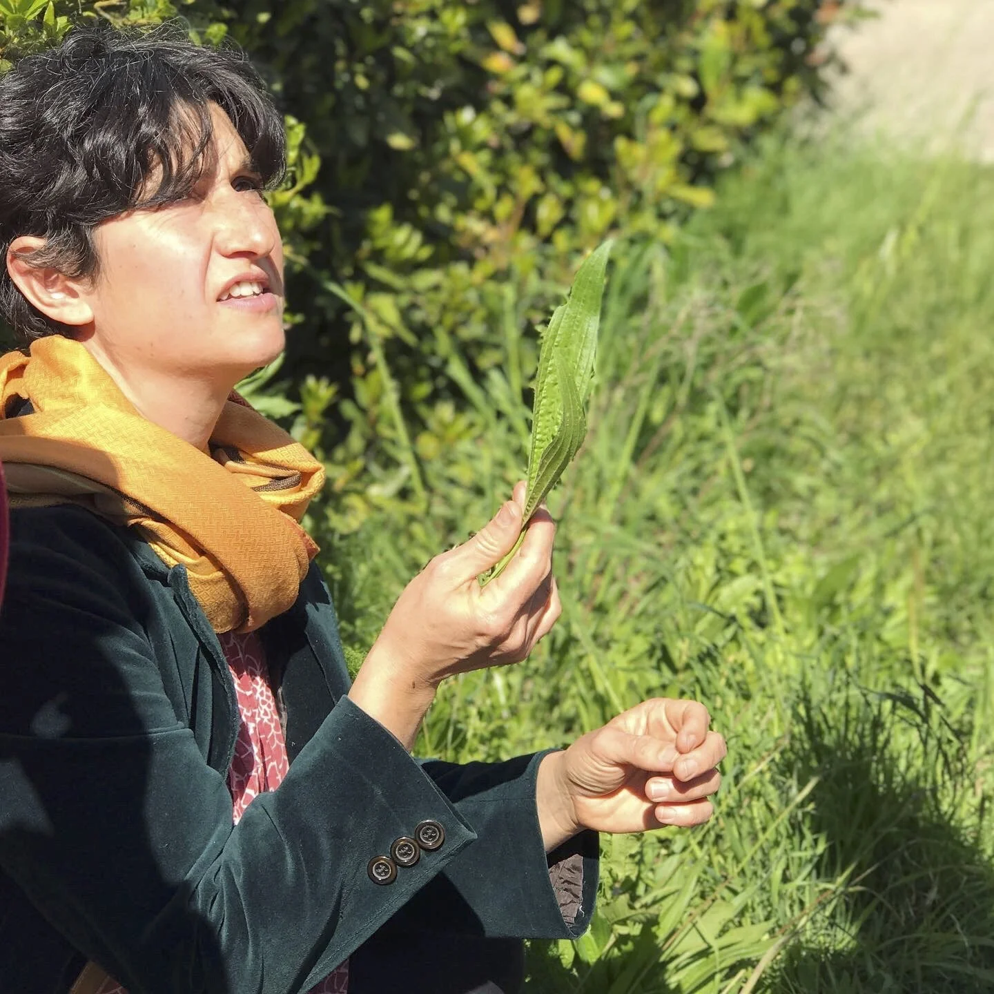 foraging_XONB3697.jpg