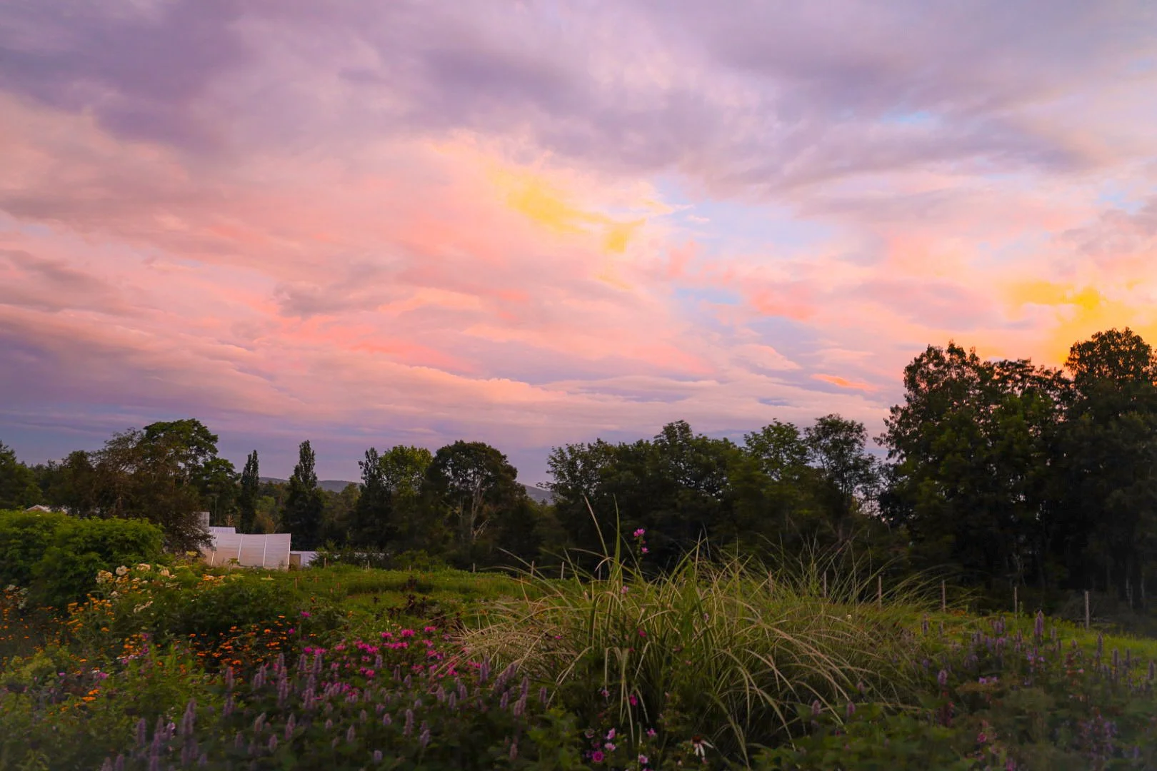 329B5631-C611-4123-9F92-DEF8B09A45B8 2.JPEG