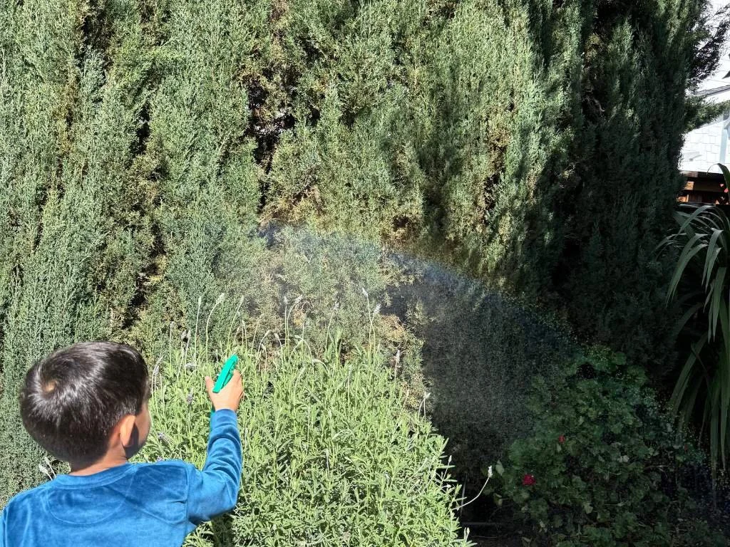 The Medal I Didn’t Feel I Deserved