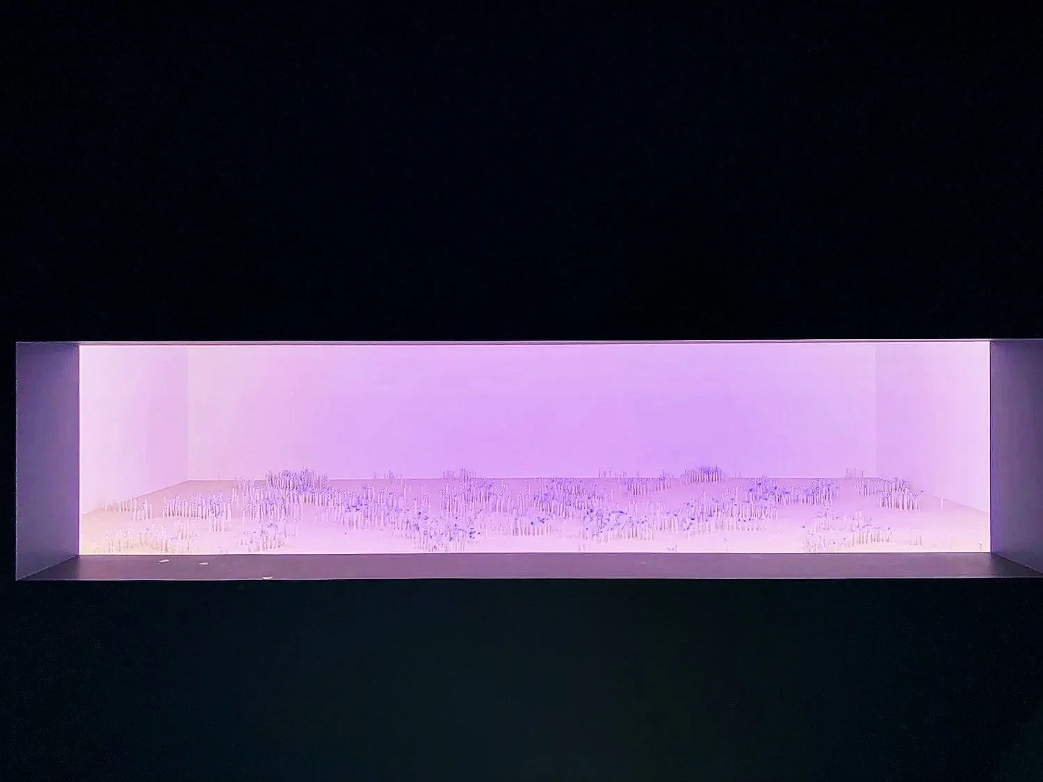 Vera Möller, 'Cajalia', 2019, during lighting phase simulating dawn/dusk .  WATER, GOMA Brisbane. Mixed media H300 x D350 x W500 cm. Curated by Geraldine Kirrihy Barlow. Photo: Vera Möller