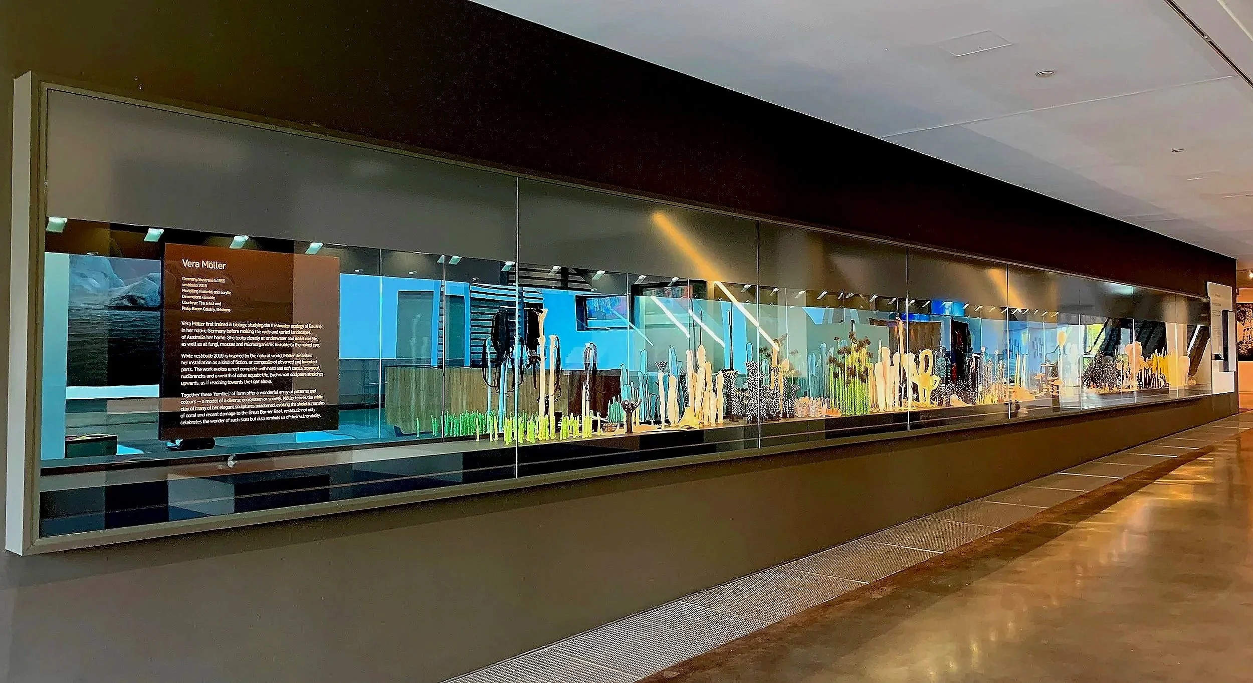 Vera Möller, 'Vestibulia', 2019, install view. WATER, GOMA Brisbane. Mixed media  H90 x D600 x W1700 cm. Curated by Geraldine Kirrihy Barlow. Photo: Vera Möller