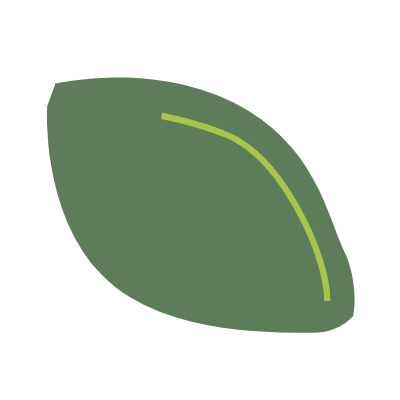 Illustration of a green pistachio nut with the shell partially open.