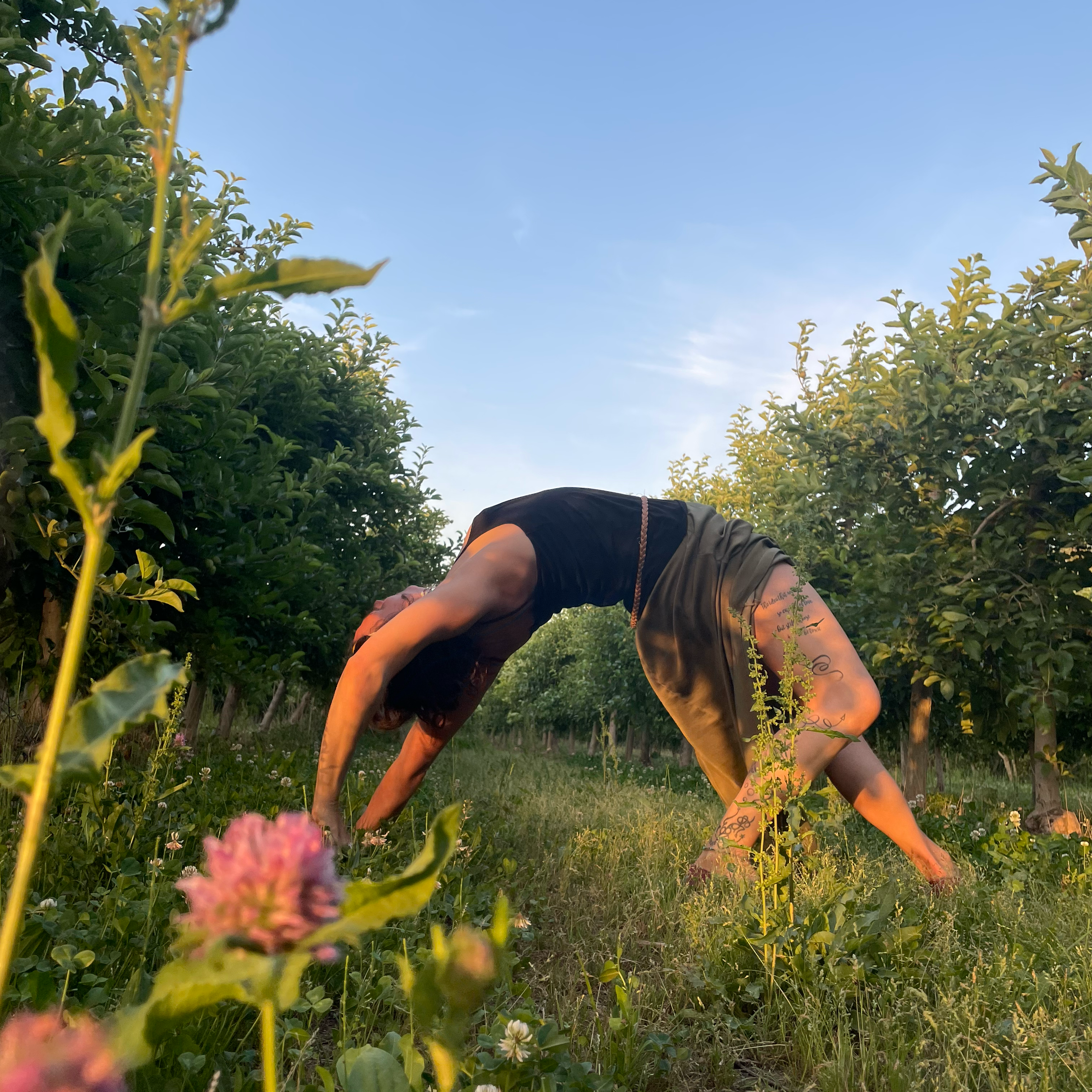 Pratique de yoga en pleine nature, explorant l’ouverture du corps et la respiration en conscience