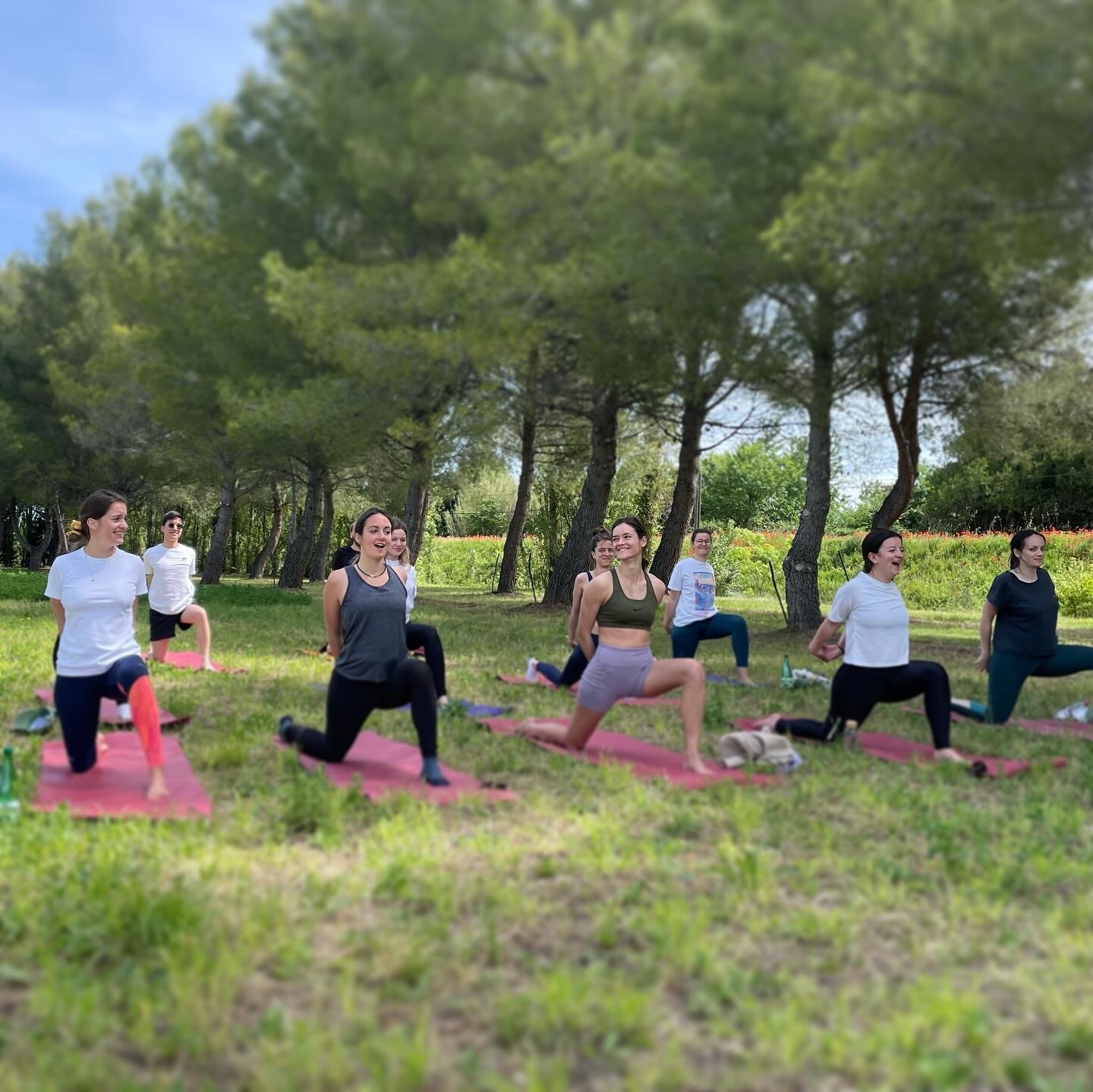 Cours de yoga collectif pour un EVJF  en plein air, pratique dynamique et consciente dans un cadre naturel