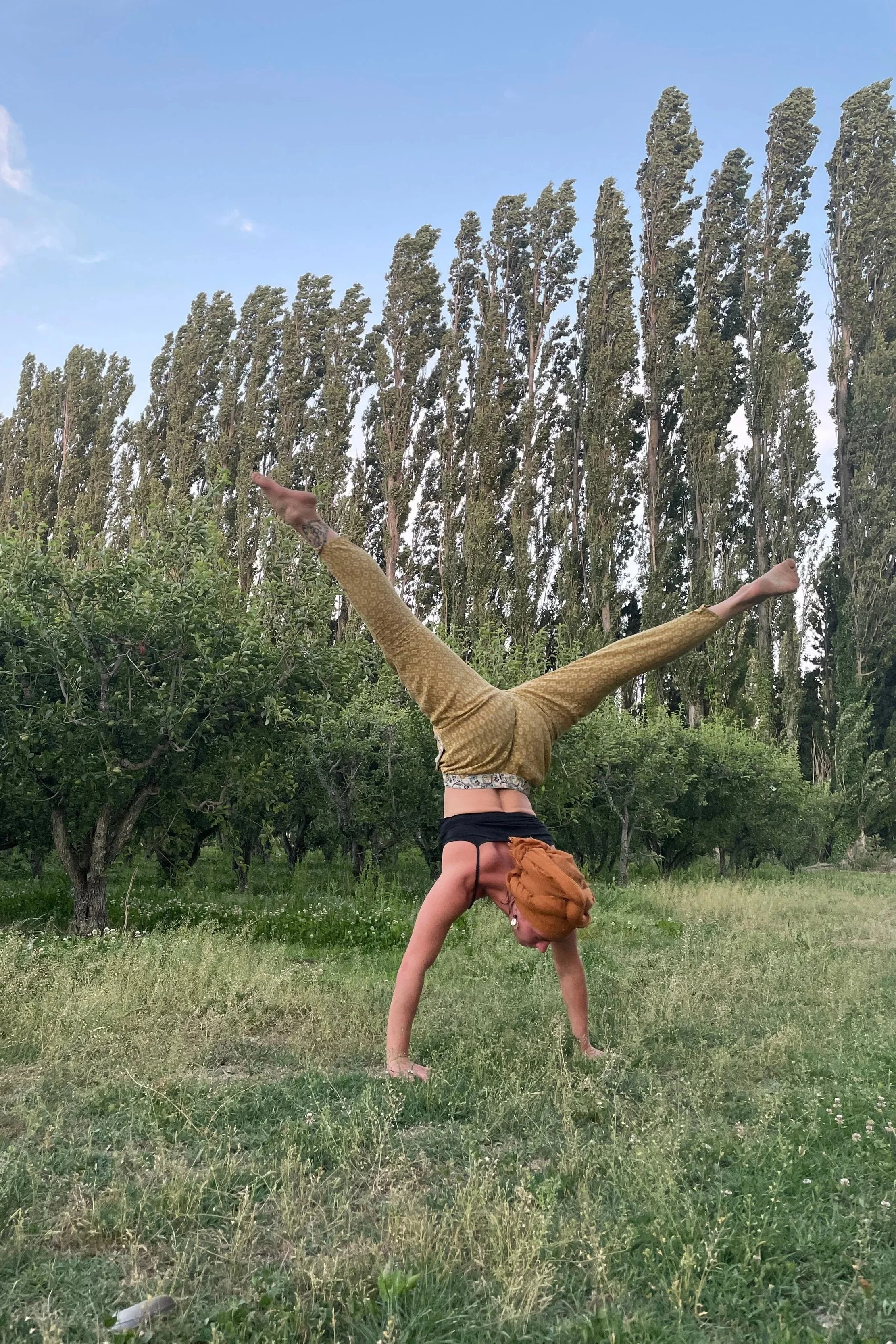 Pratique de yoga en pleine nature, explorant l’équilibre et la présence en conscience