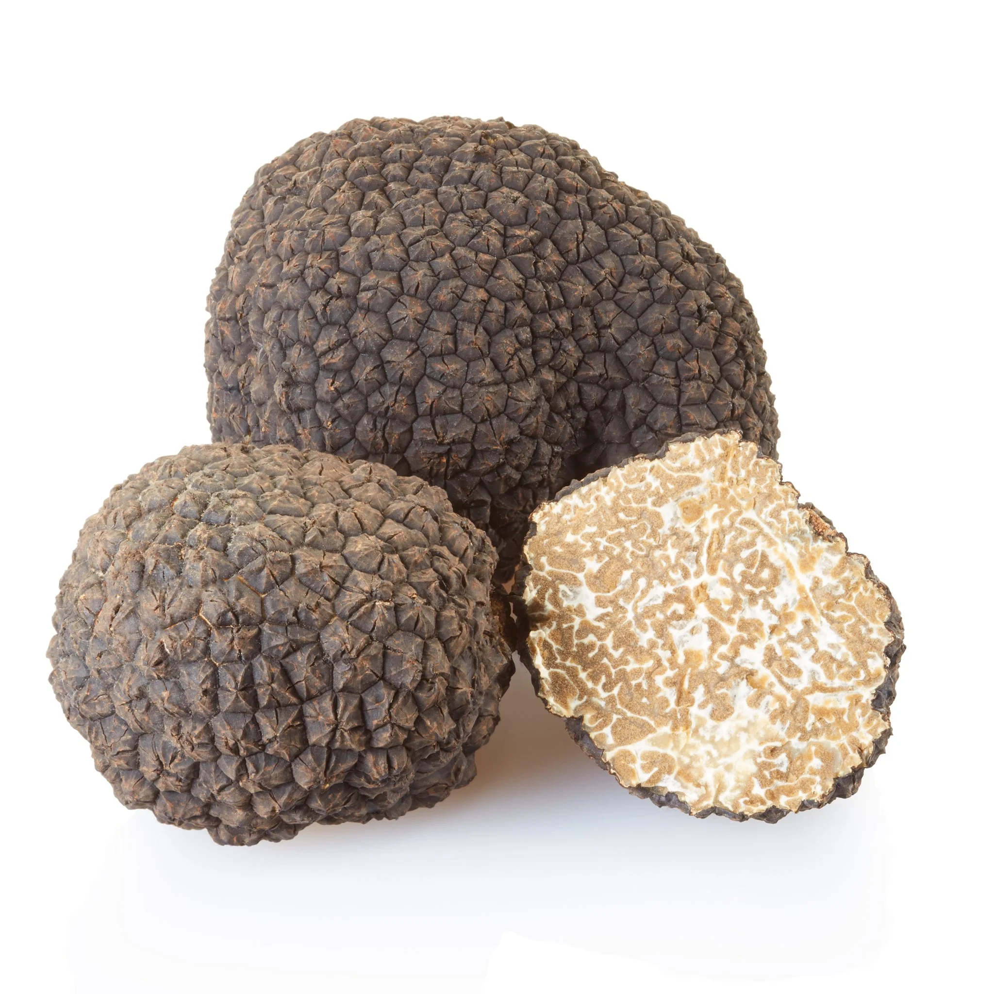 Black Summer truffle — The House of Fine Foods UK